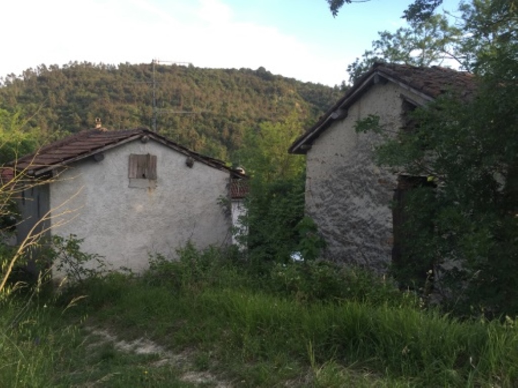 Foto annuncio 41