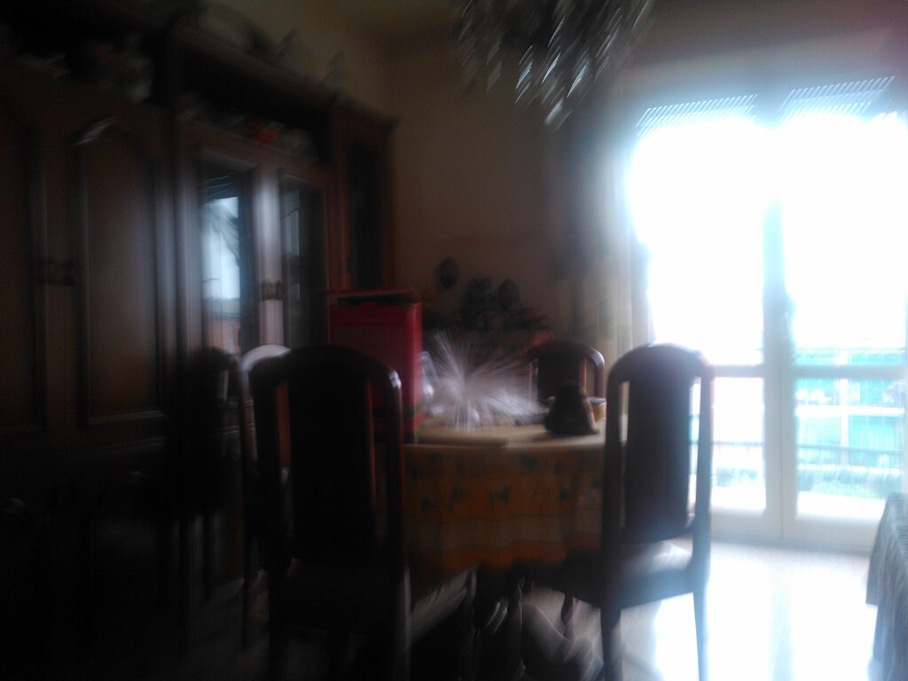 Foto annuncio 8