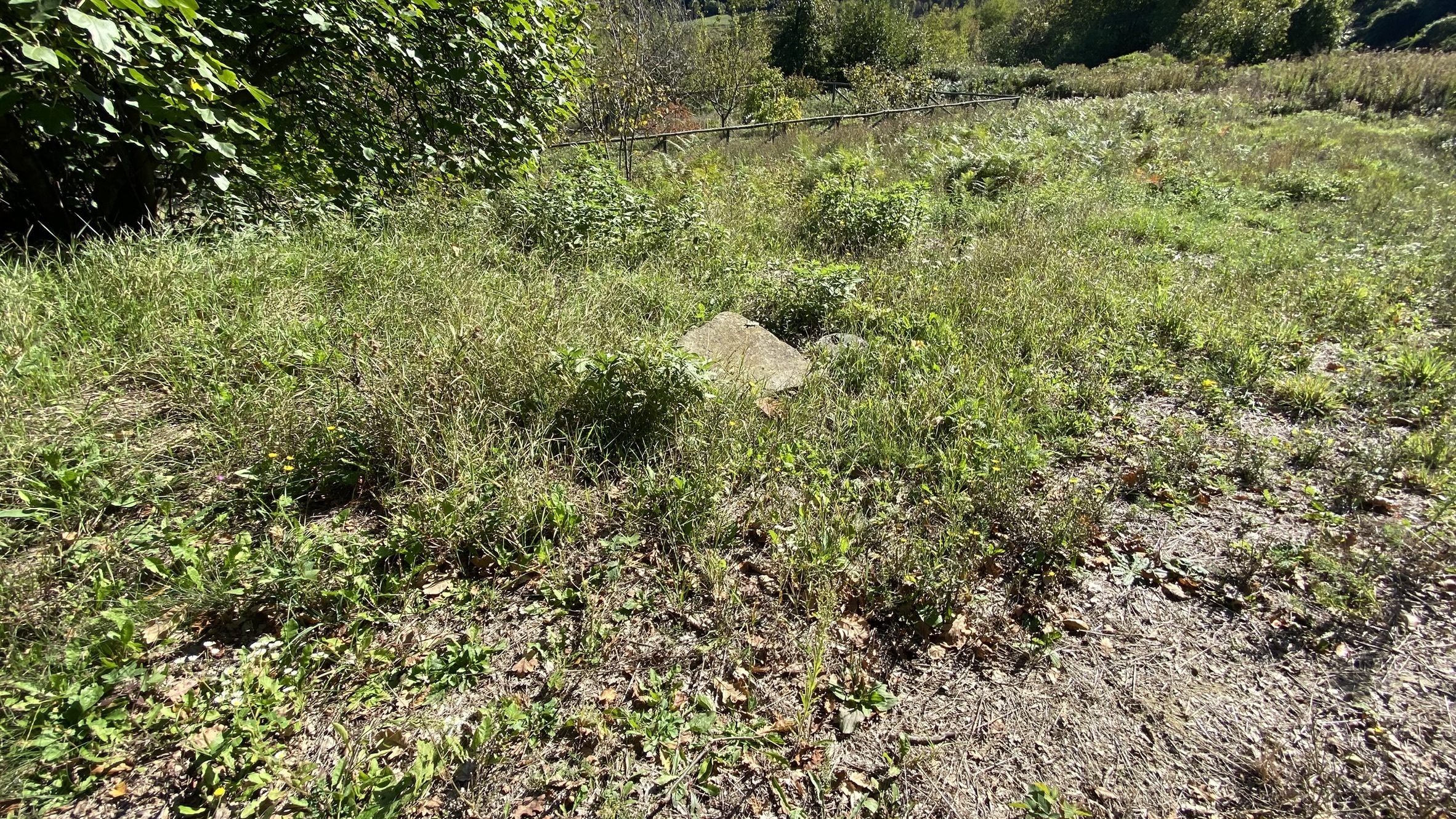 Foto annuncio 20