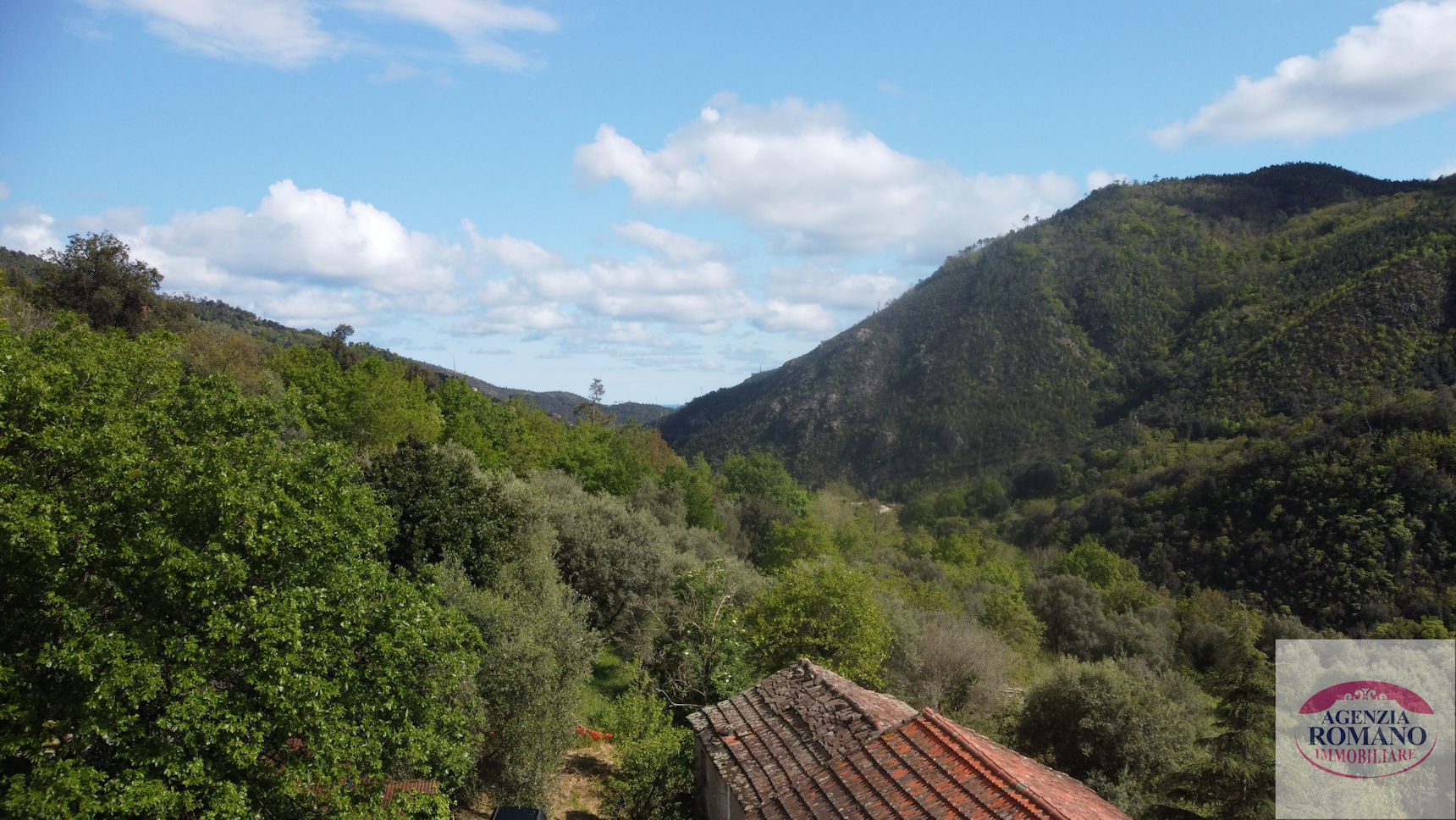 Foto annuncio 15