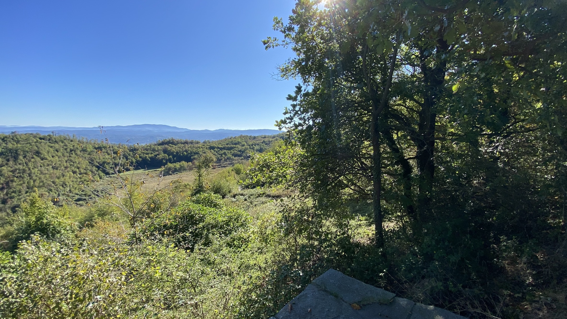 Foto annuncio 31