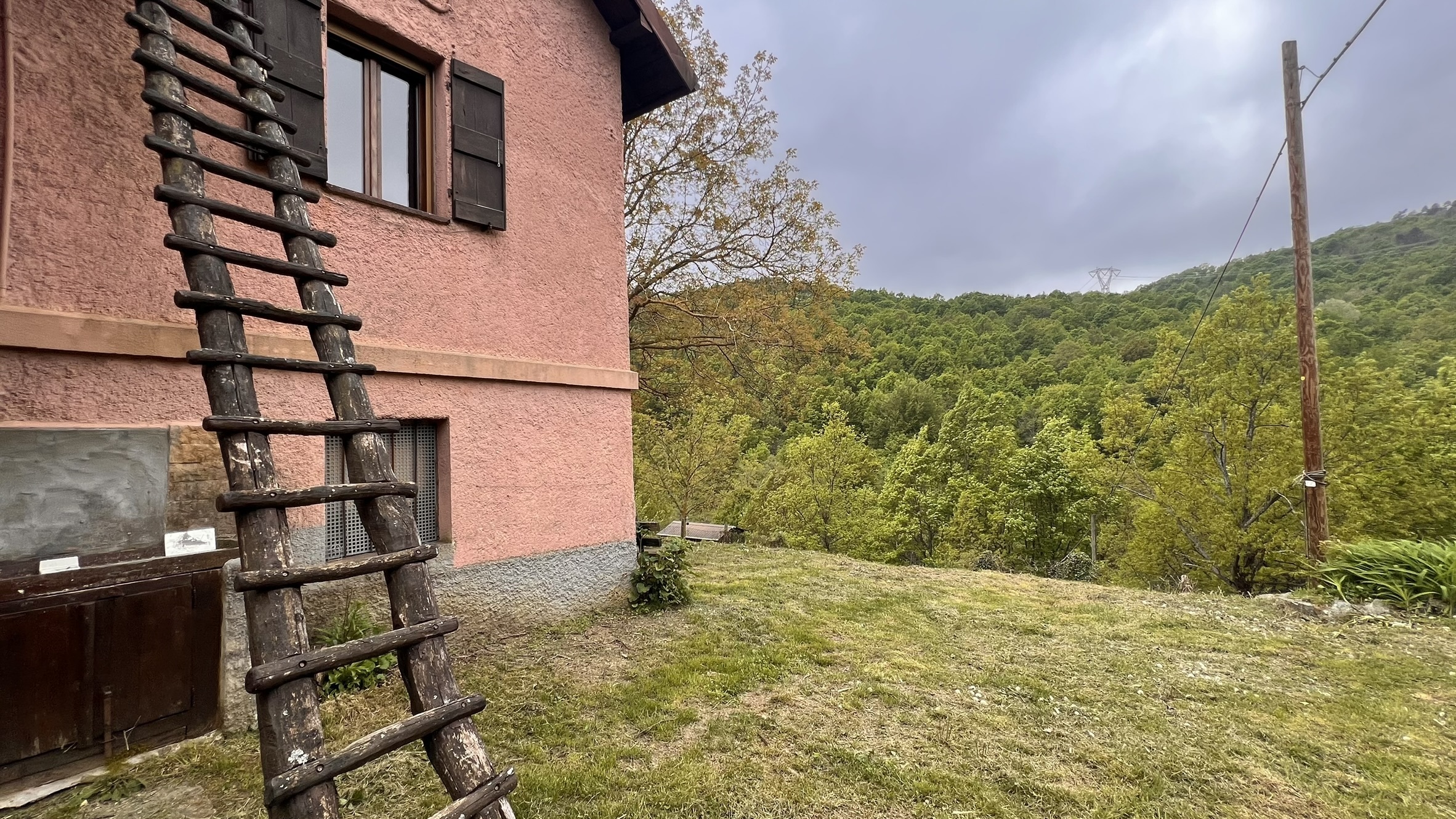 Foto annuncio 5