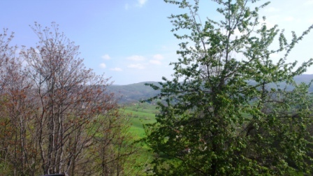 Immagine 13 di Casa indipendente in vendita  a Sassello