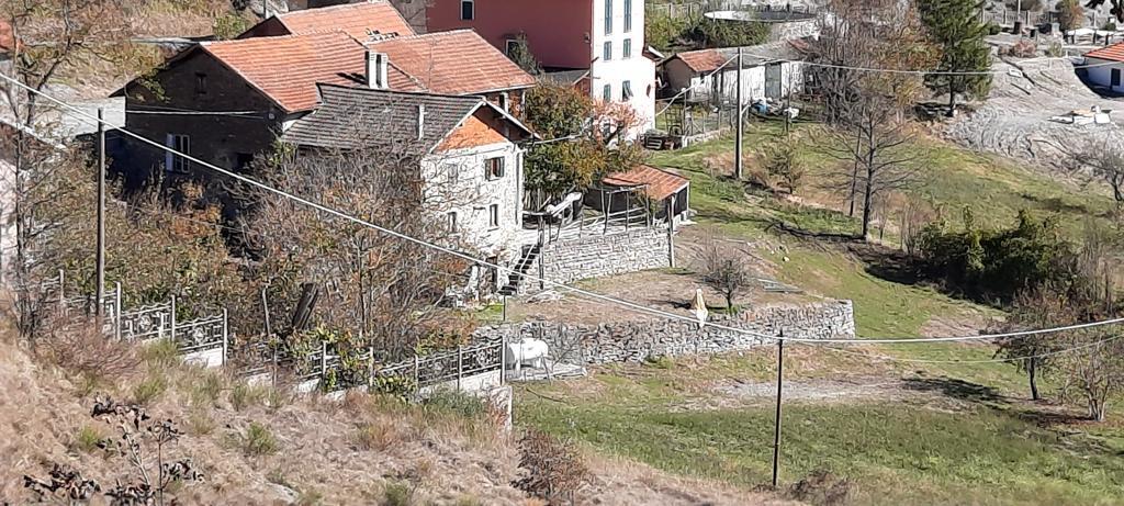 Foto annuncio 15