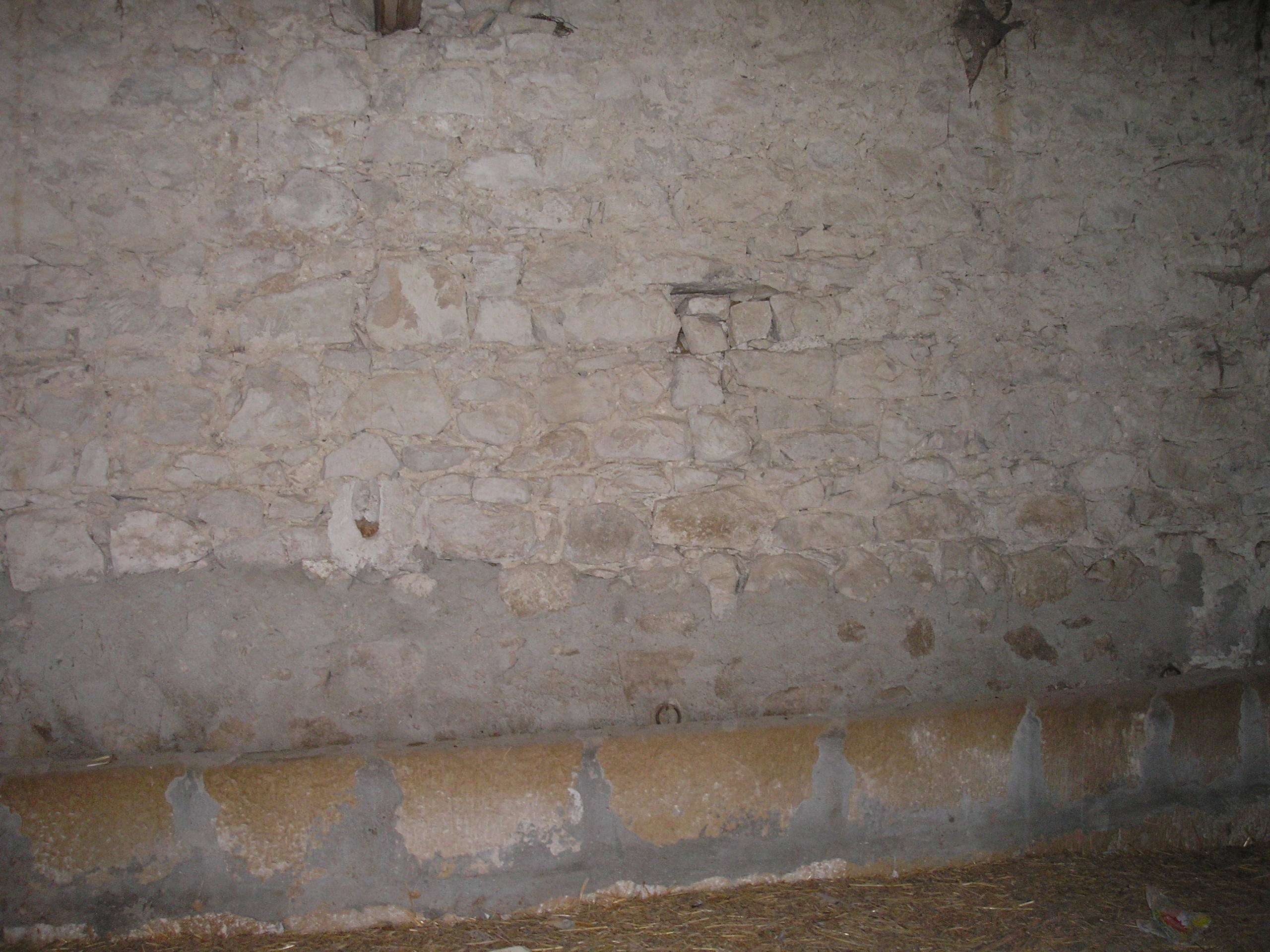 Foto annuncio 15