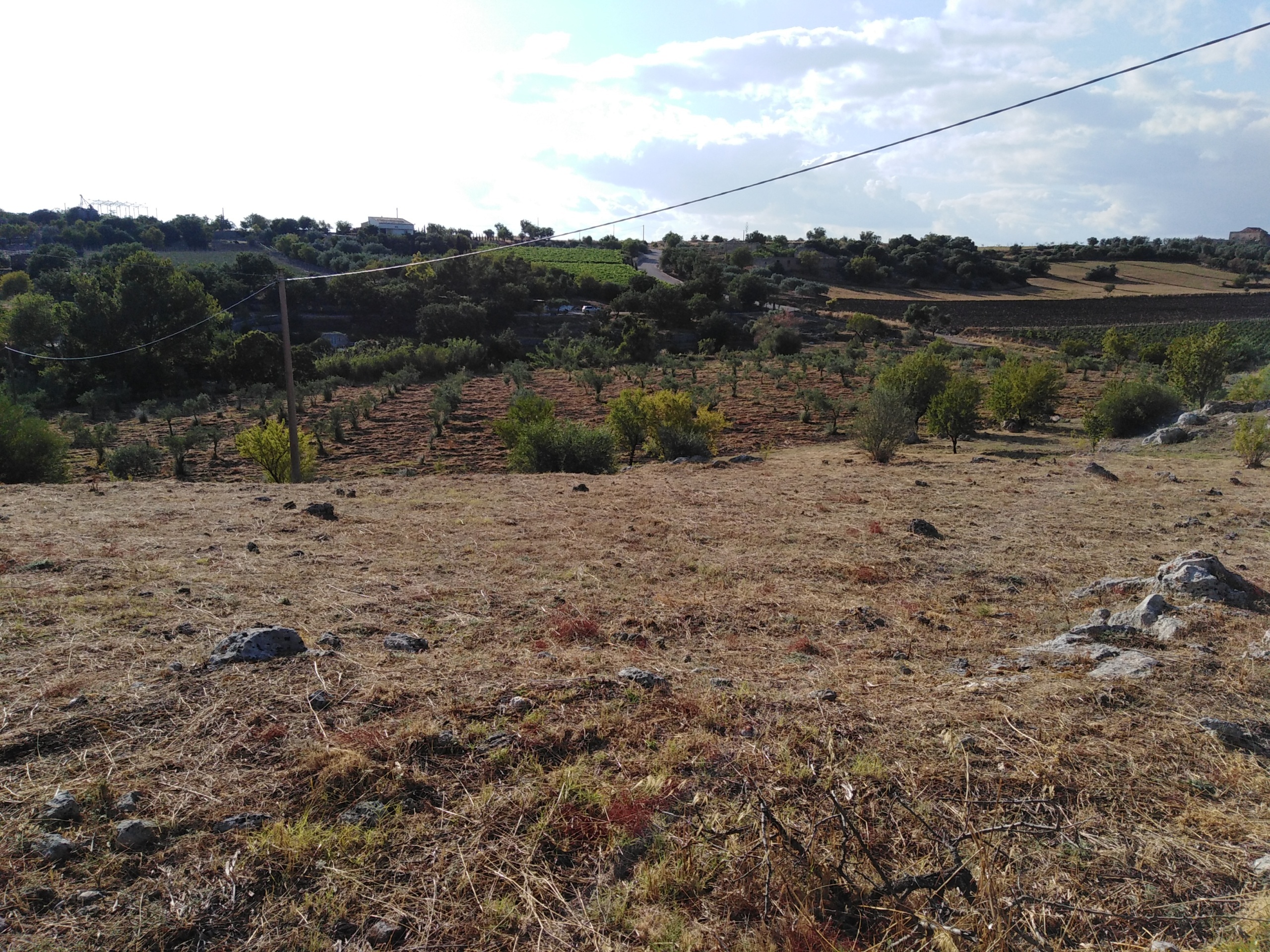 Immagine 11 di Villa in vendita  a Chiaramonte Gulfi