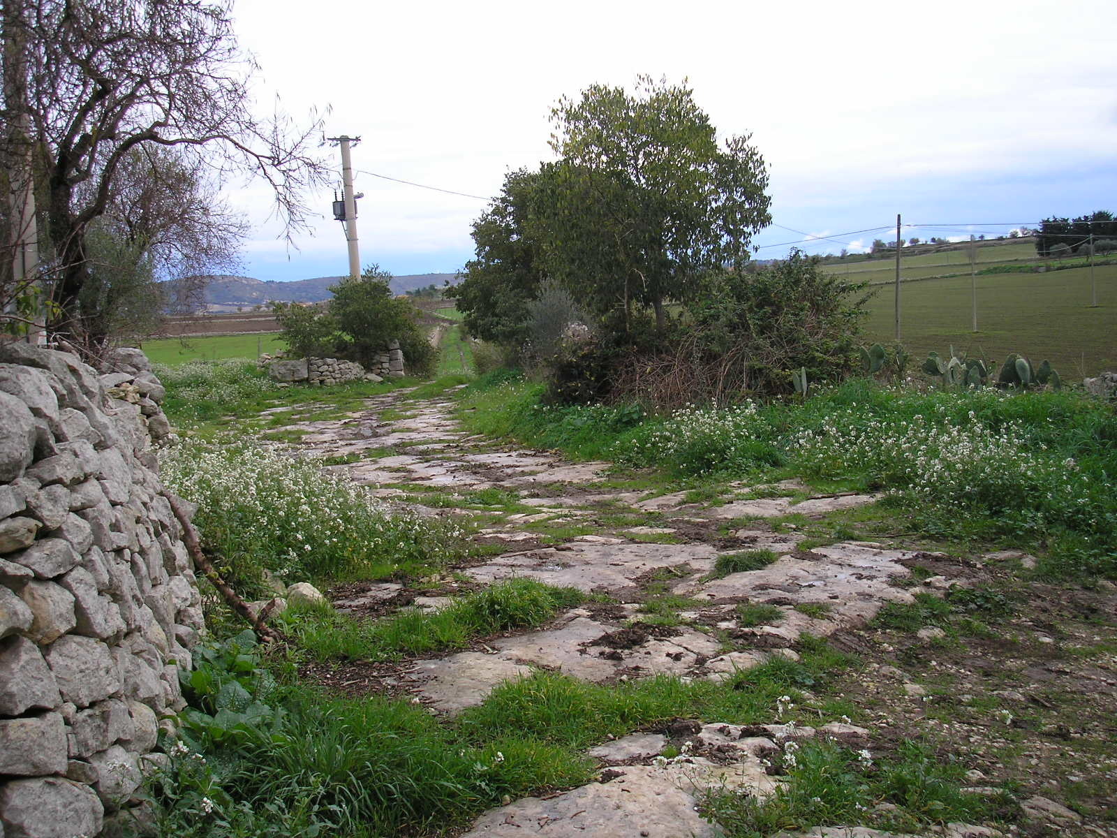 Foto annuncio 4