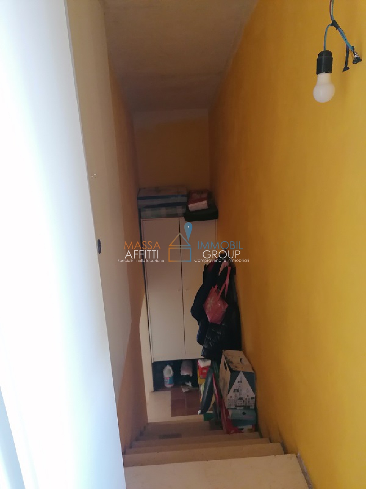 Foto annuncio 13