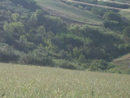 Foto annuncio 19