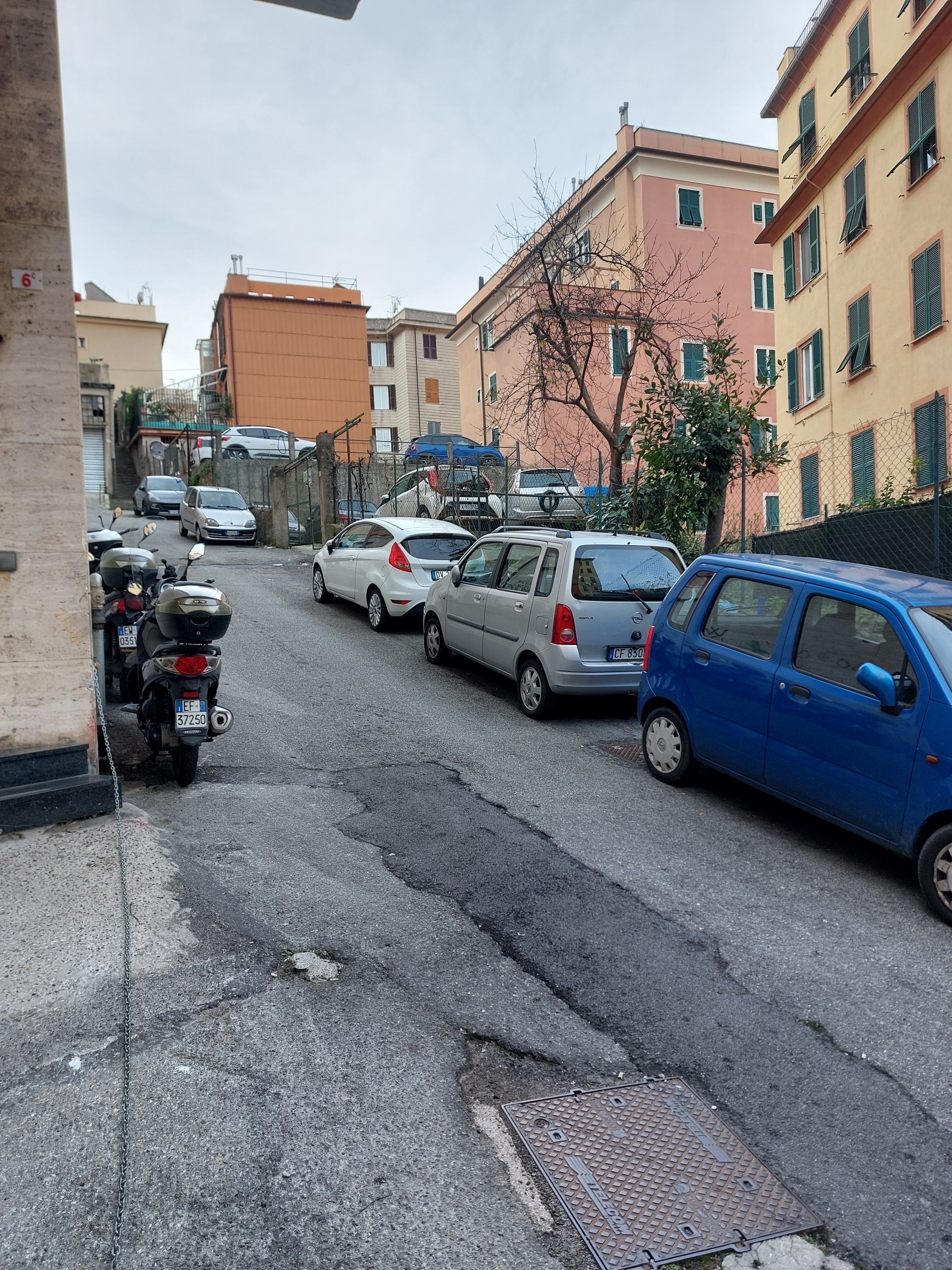 Foto annuncio 41