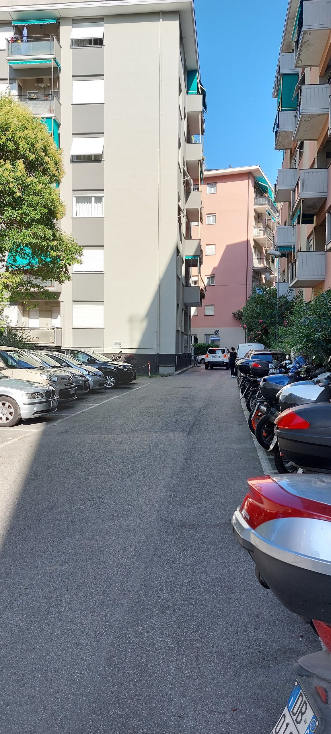 Foto annuncio 38