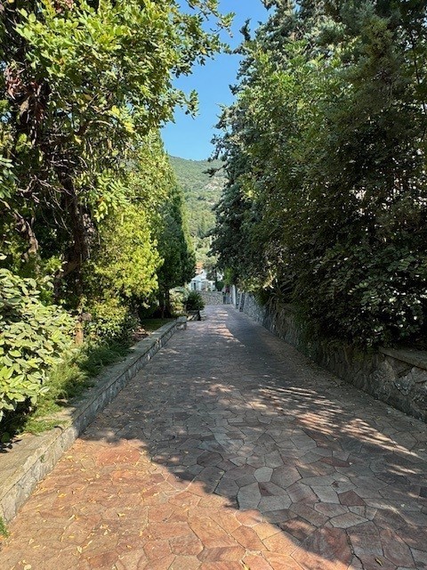 Immagine 61 di Villa in vendita  in Via Adelasia 139 a Alassio