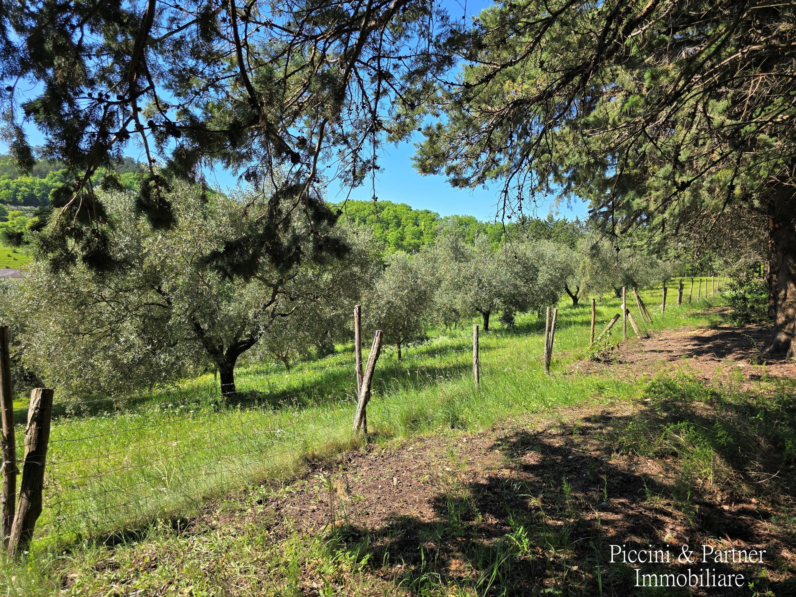 Immagine 5 di Rustico / casale in vendita  in Migianella a Umbertide