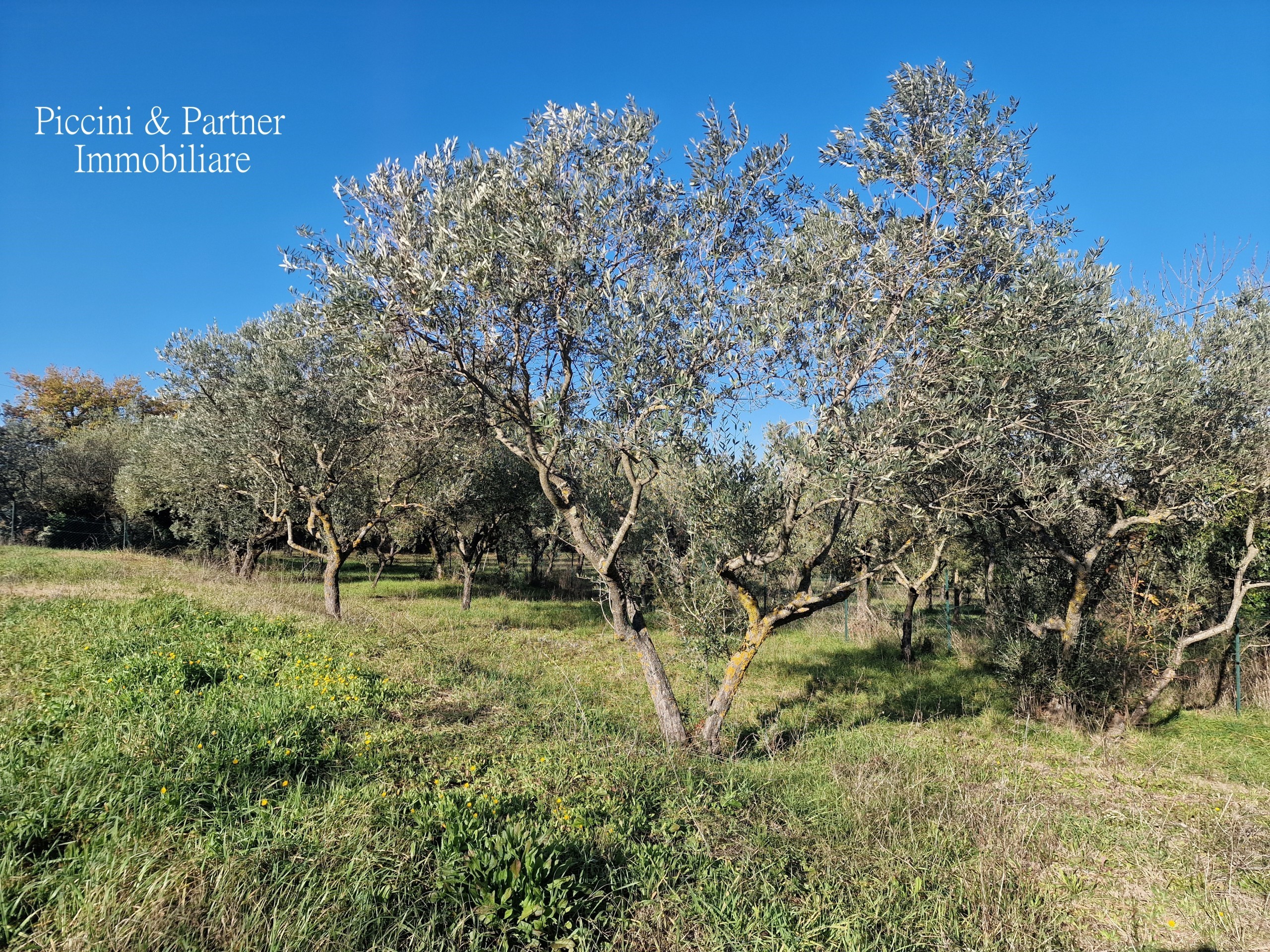 Immagine 76 di Rustico / casale in vendita  in Località San Lorenzo a Castel Ritaldi
