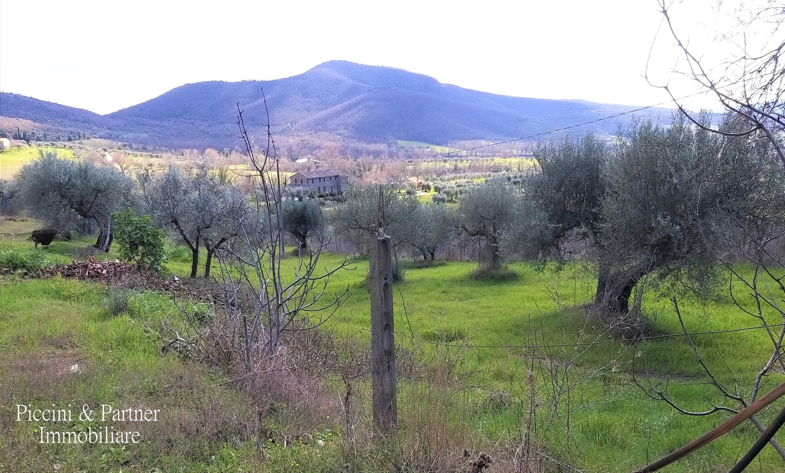 Immagine 21 di Porzione di casa in vendita  in Via dei Mandorli 49 a Panicale