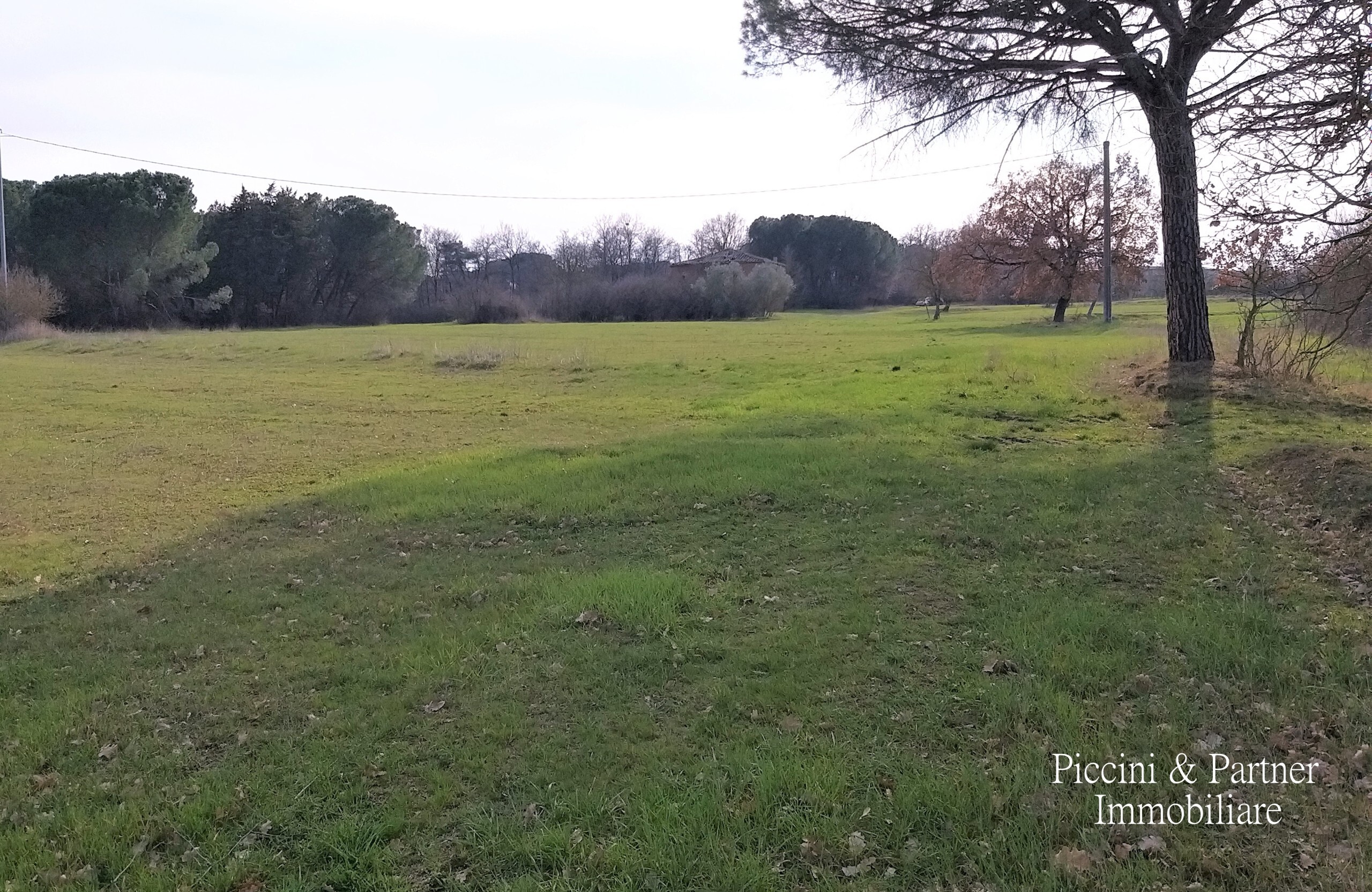Immagine 13 di Rustico / casale in vendita  in Località Bertoni a Castiglione Del Lago