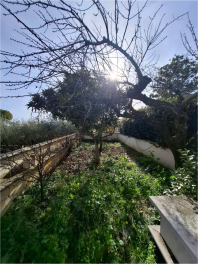 Foto annuncio 11