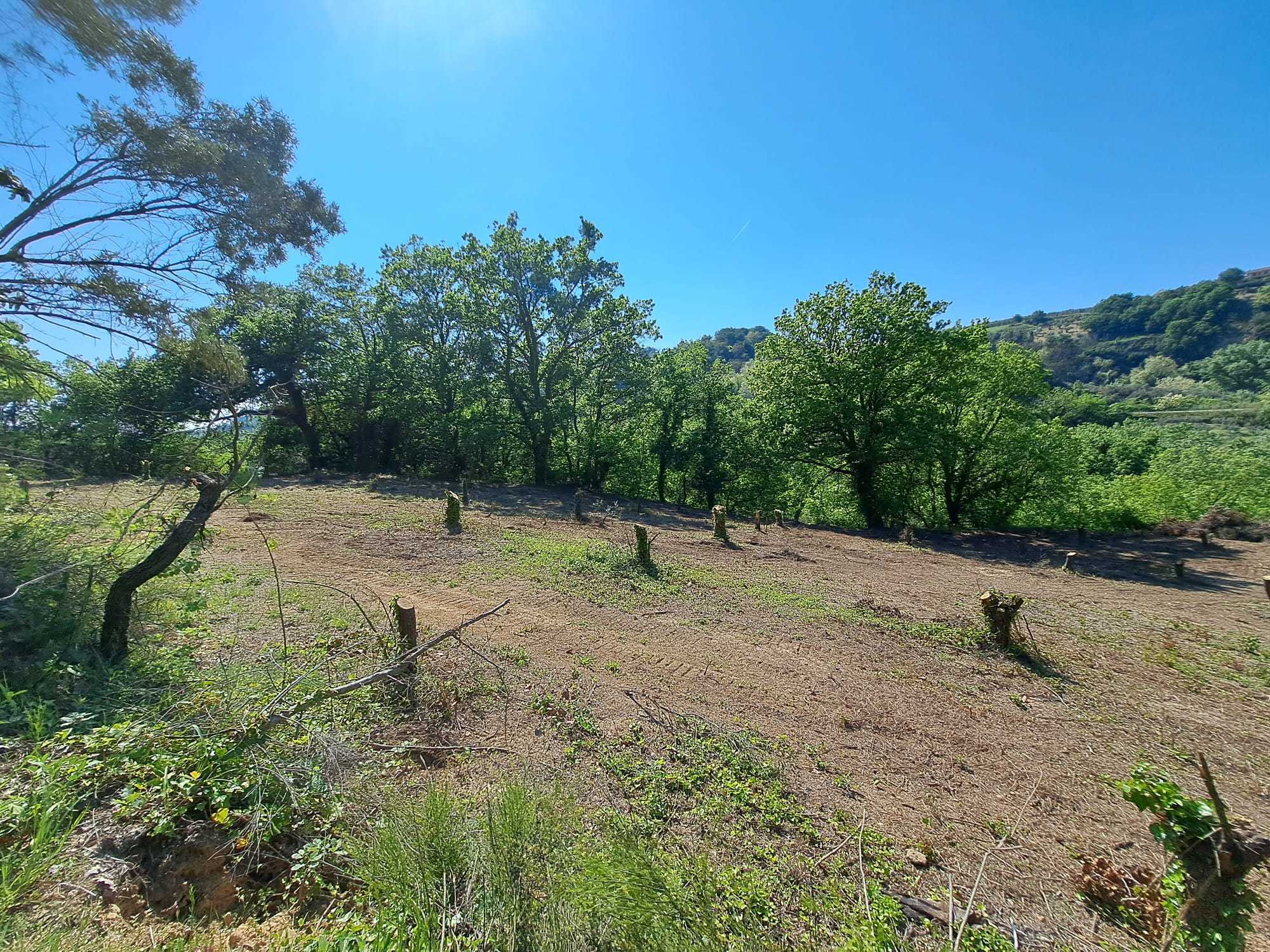 Foto annuncio 8
