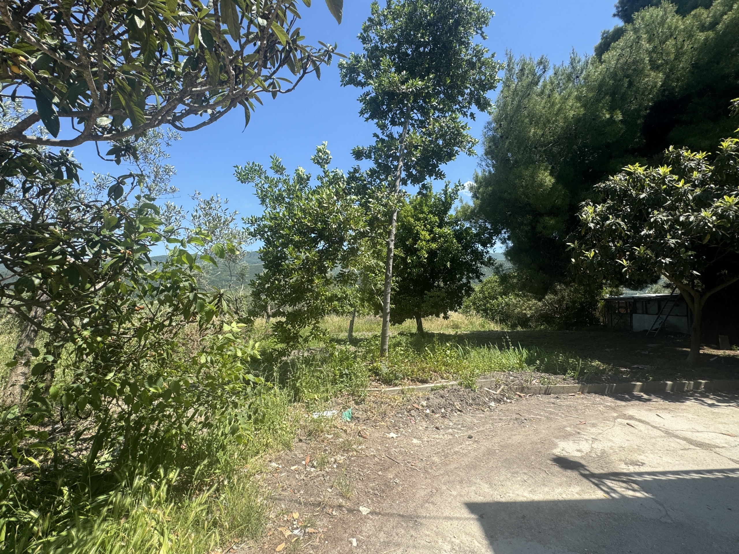 Immagine 14 di Casa semindipendente in vendita  in Roccascalegna a Roccascalegna