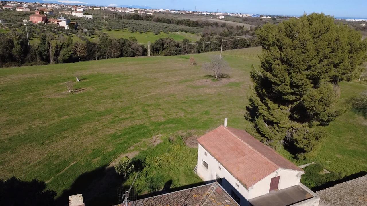 Foto annuncio 63
