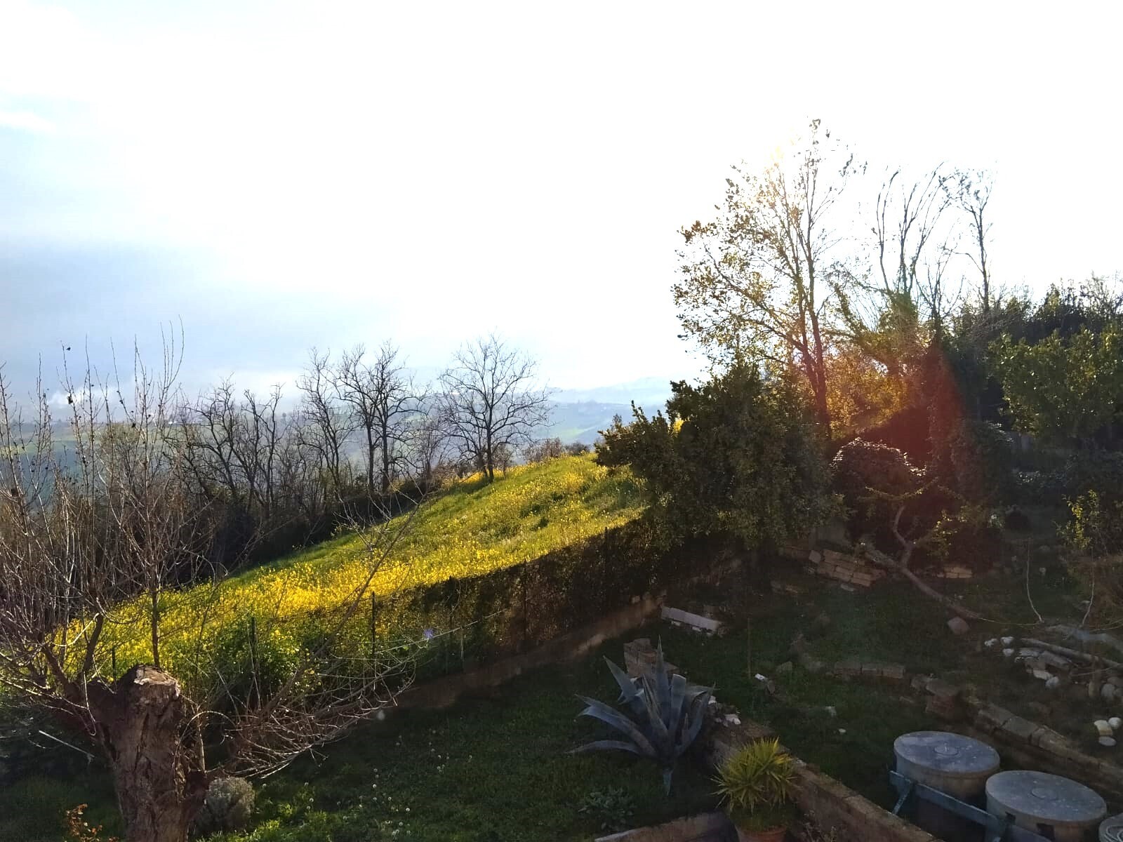 Foto annuncio 7