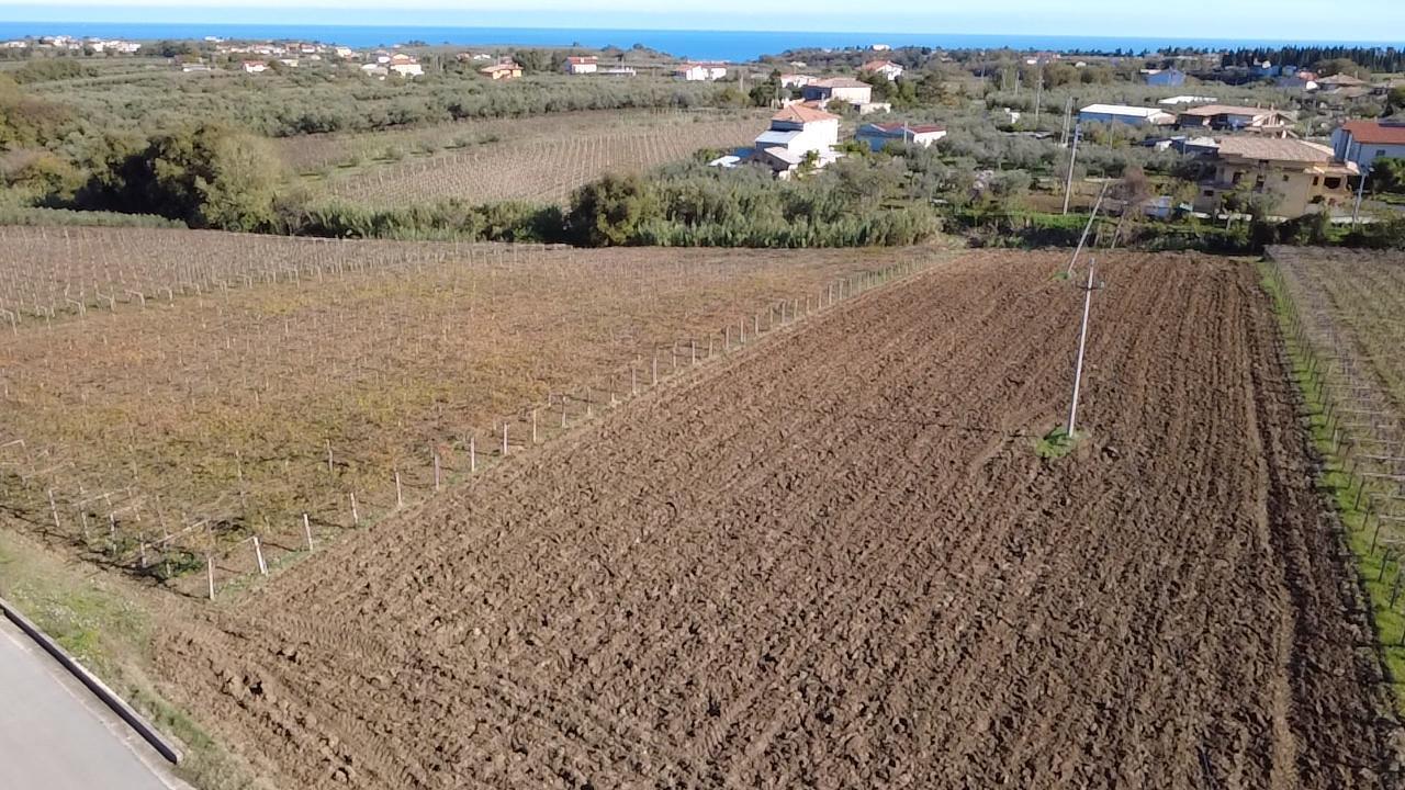 Foto annuncio 1
