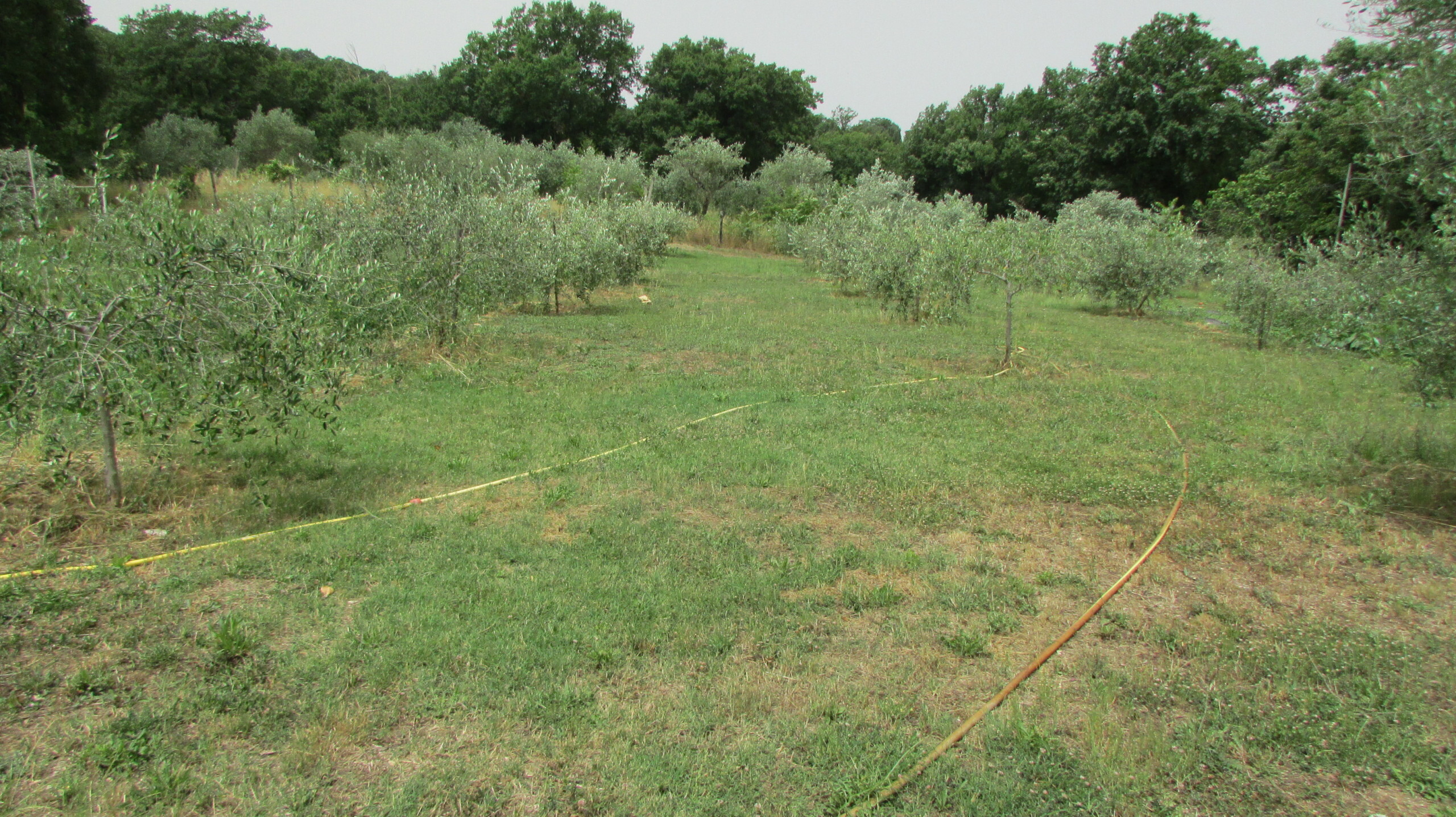 Immagine 11 di Casa indipendente in vendita  a Todi