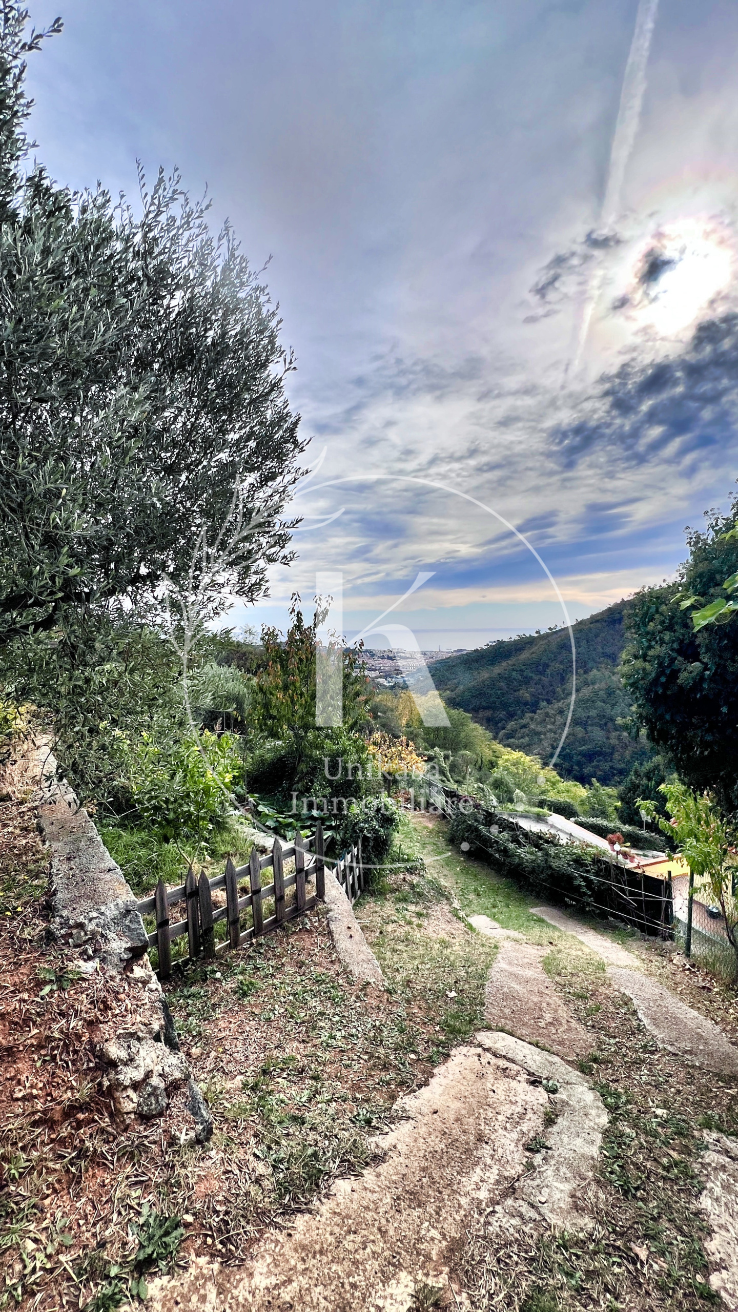 Foto annuncio 22