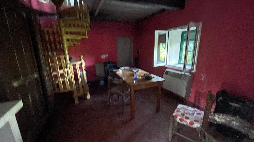 Foto annuncio 12
