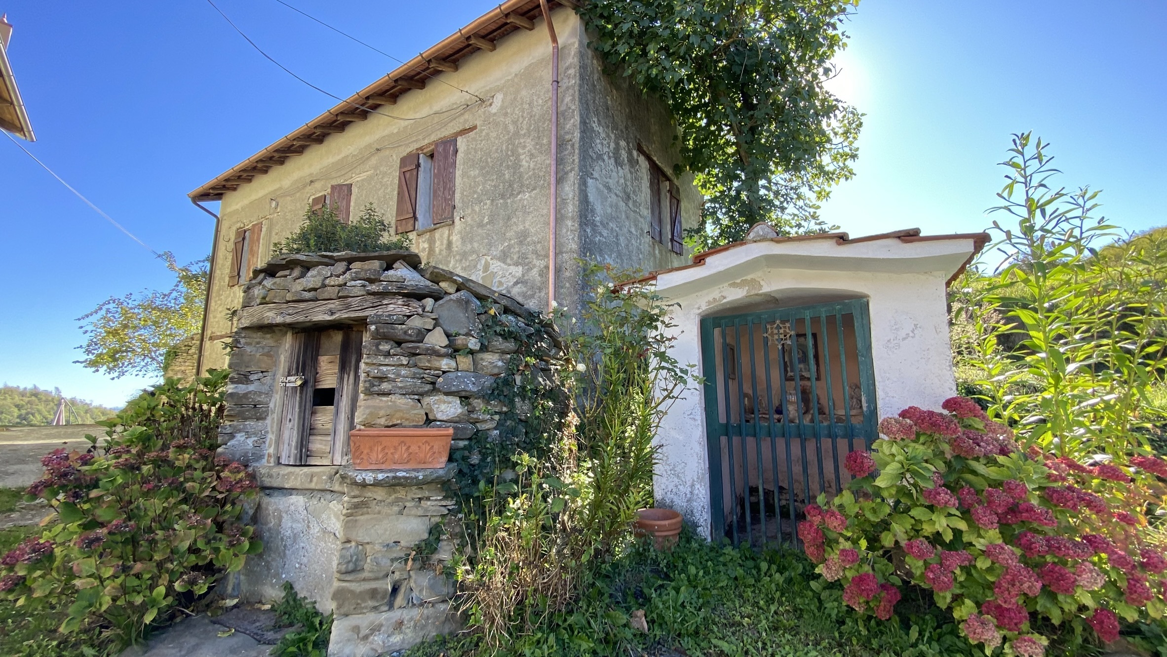 Foto annuncio 2