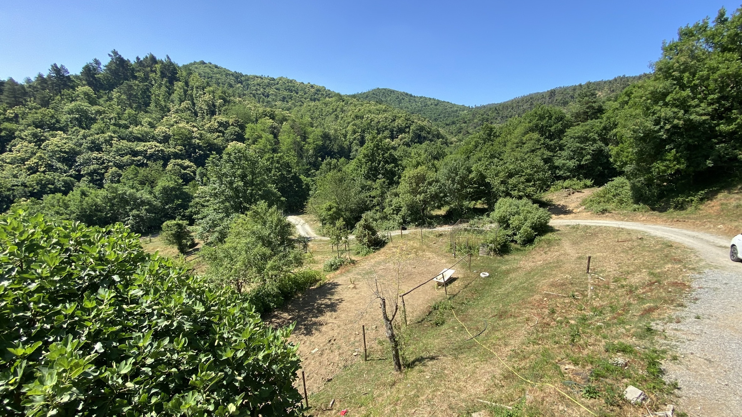 Foto annuncio 11