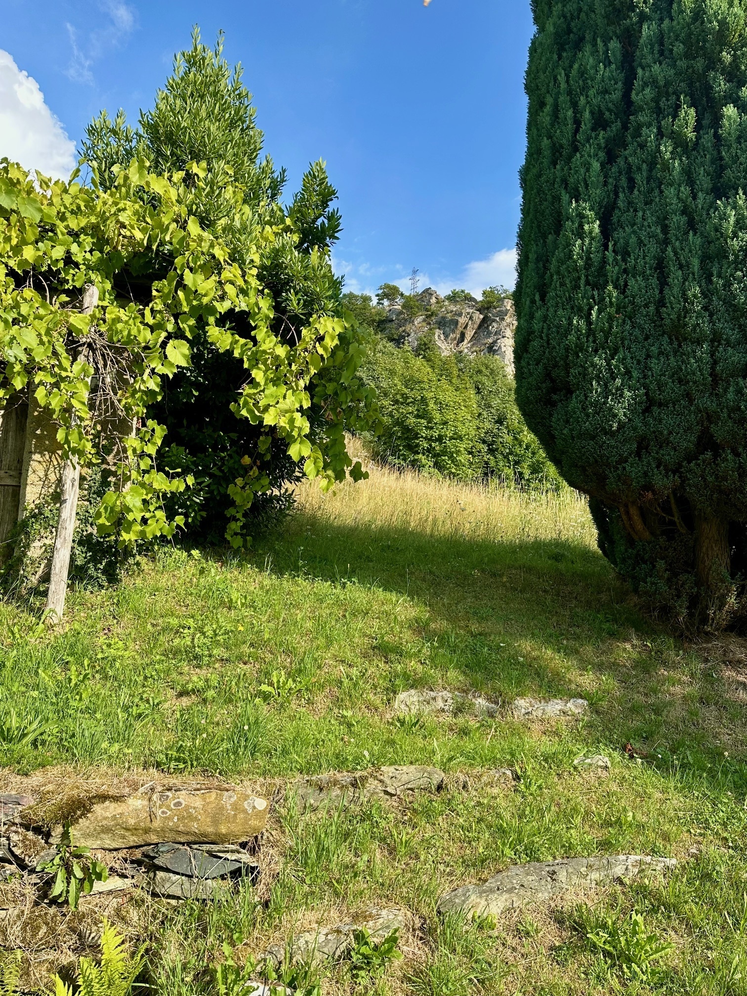 Foto annuncio 24