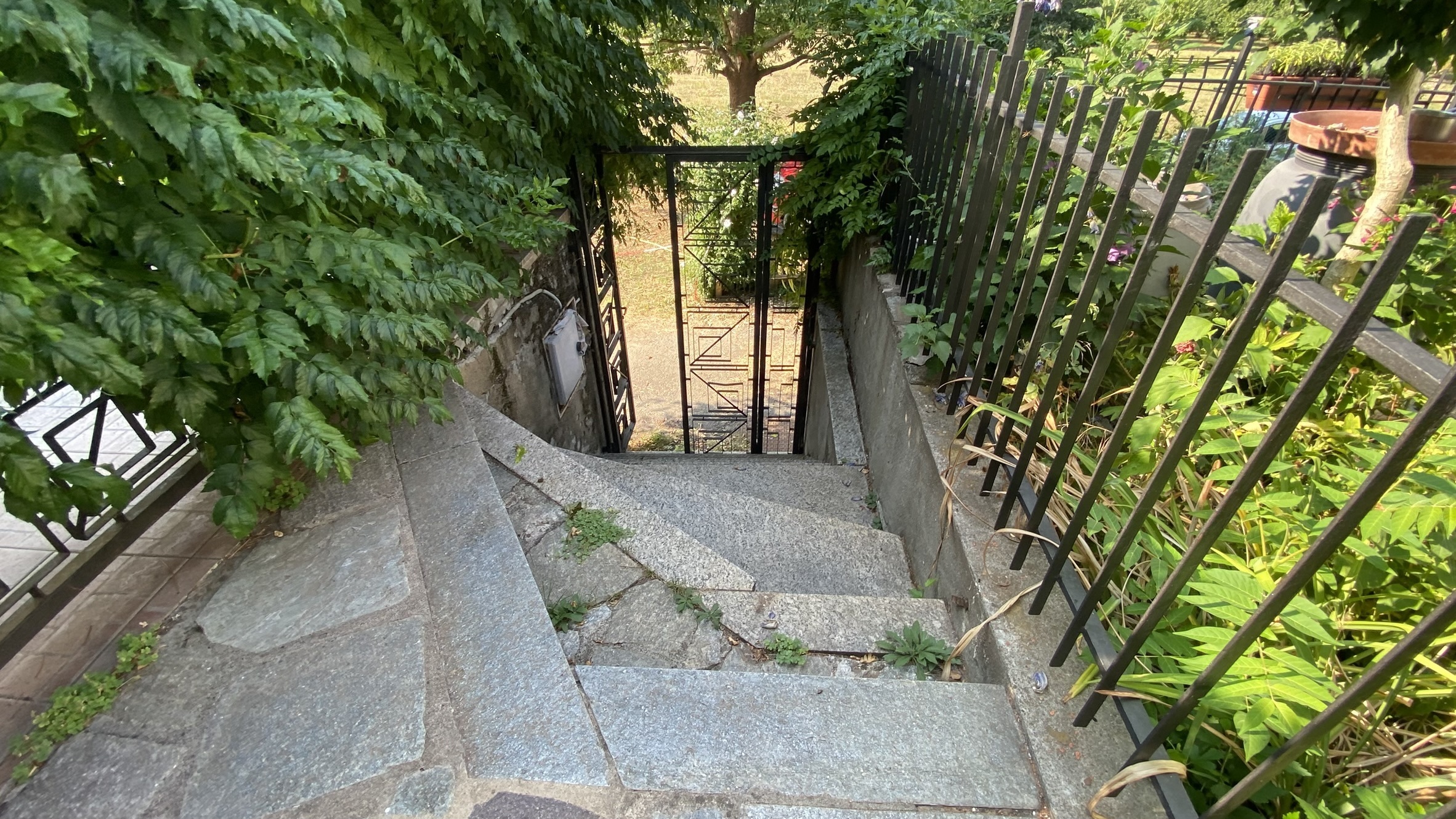 Foto annuncio 7