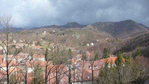 Foto annuncio 9