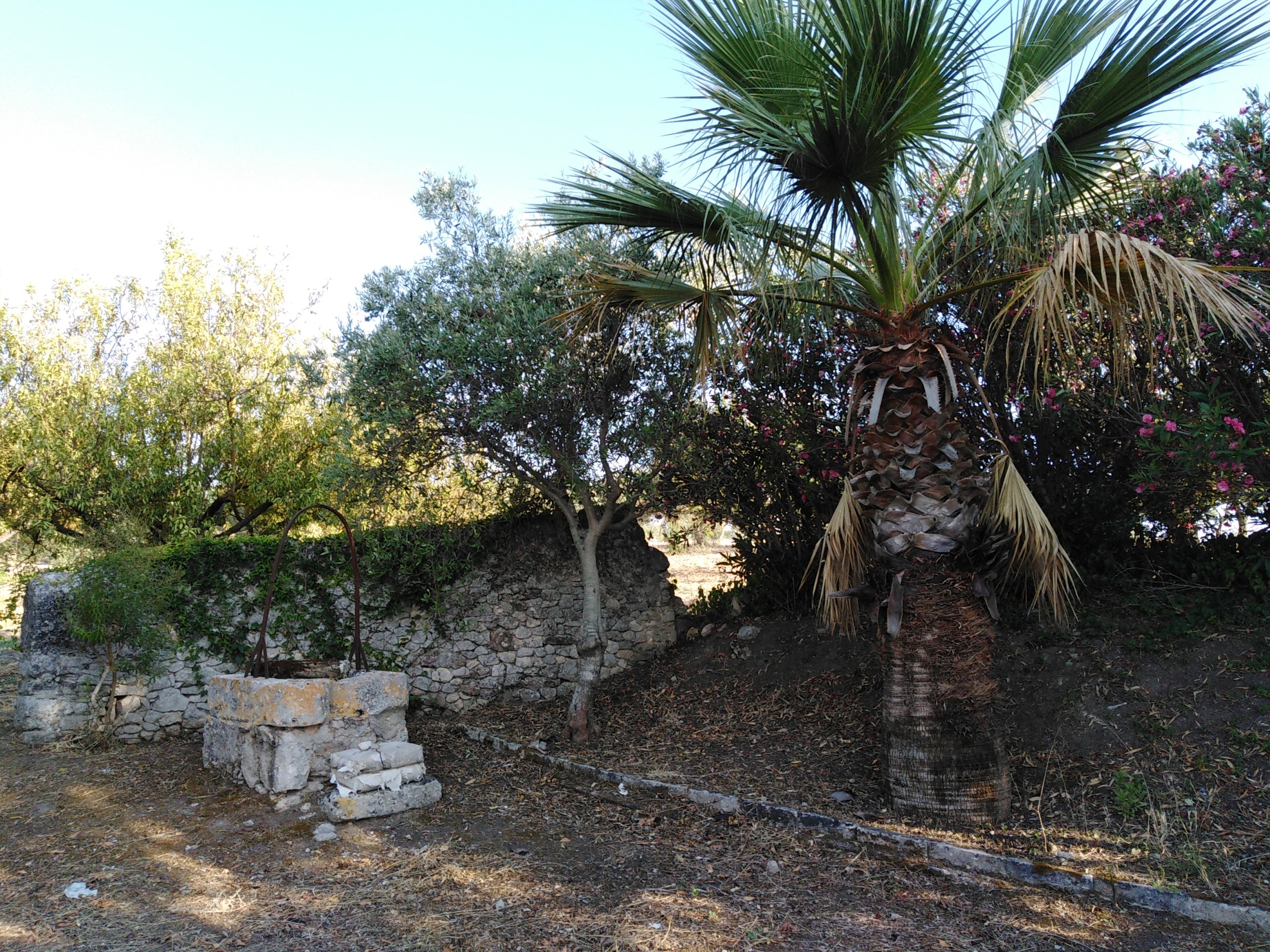 Immagine 2 di Villa in vendita  a Chiaramonte Gulfi