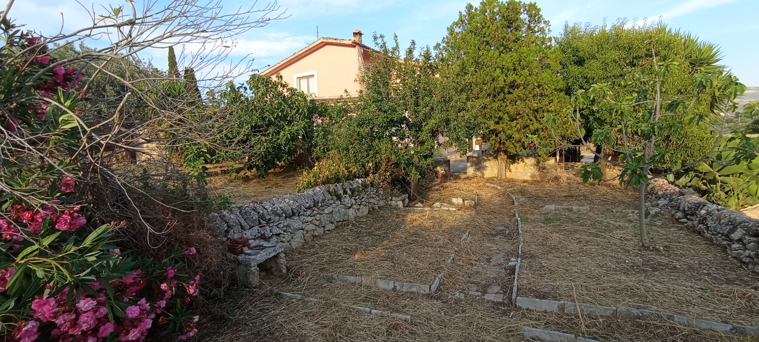 Foto annuncio 39