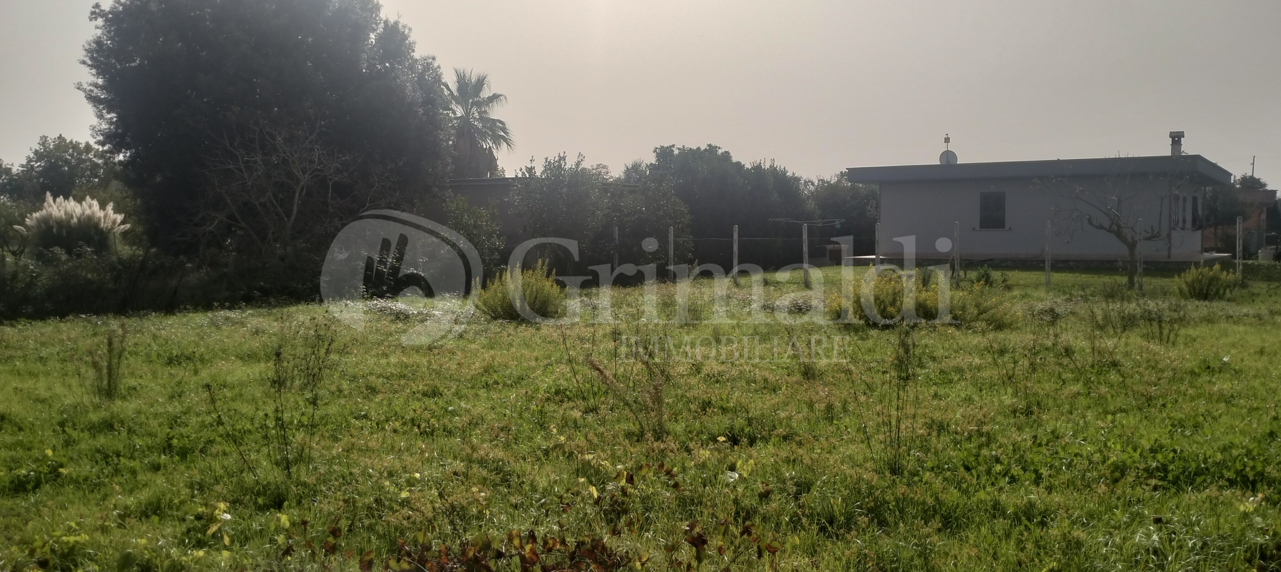 Immagine 2 di Terreno agricolo in vendita  in Via Lago di Sirino a Nettuno
