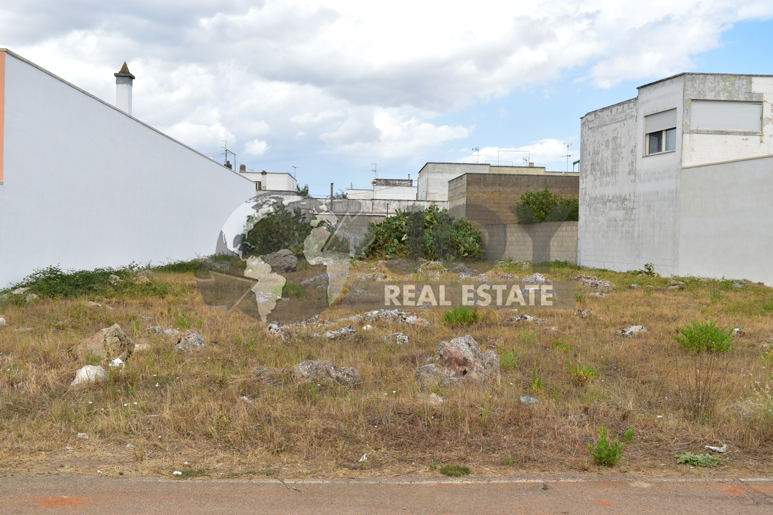 Immagine 5 di Terreno agricolo in vendita  in via morandi a San Donato Di Lecce