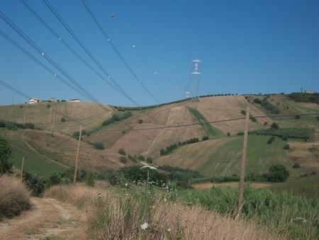 Foto annuncio 11
