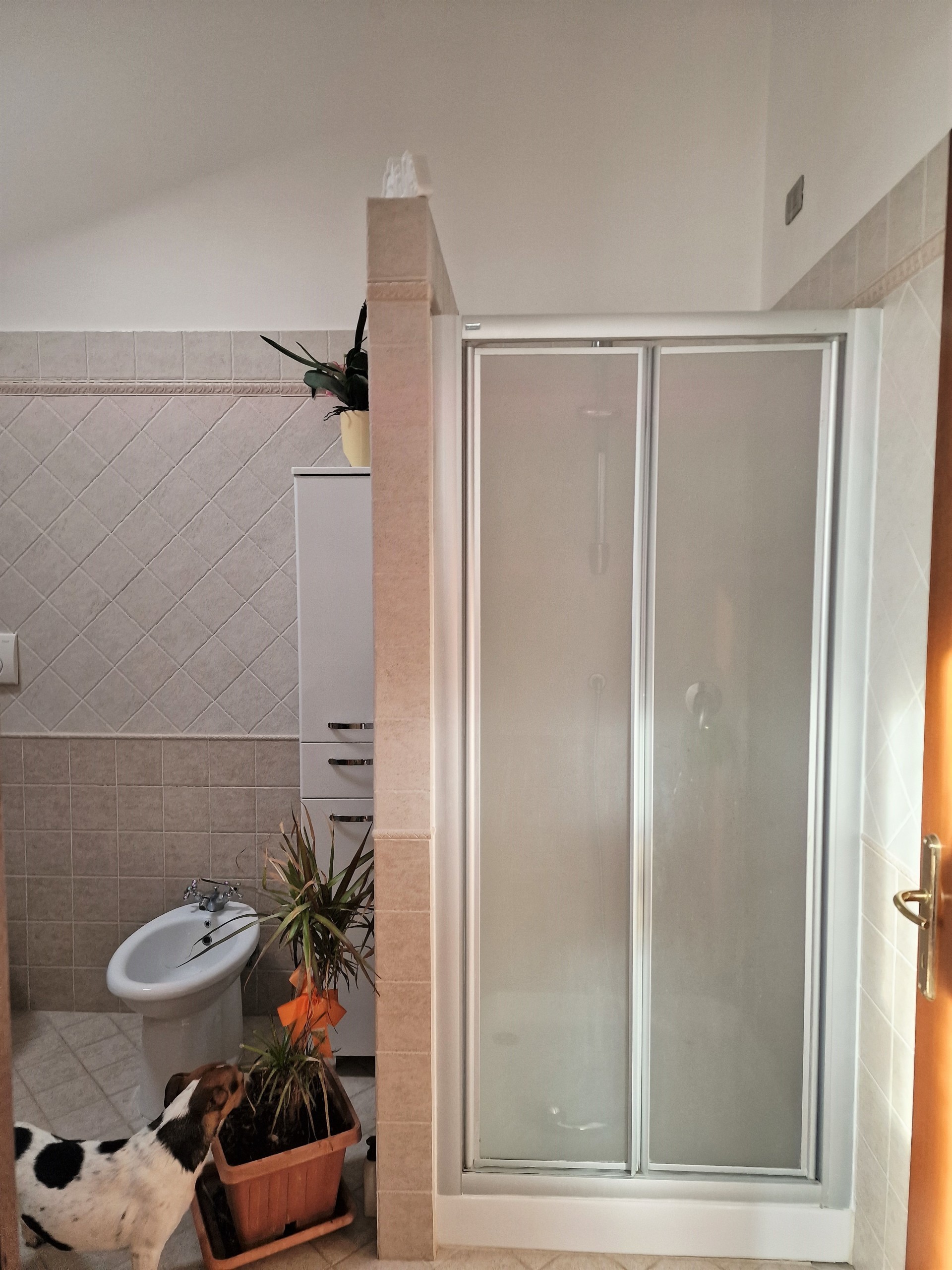 Immagine 36 di Casa bifamiliare in vendita  in Via Milano a Castiglione Del Lago