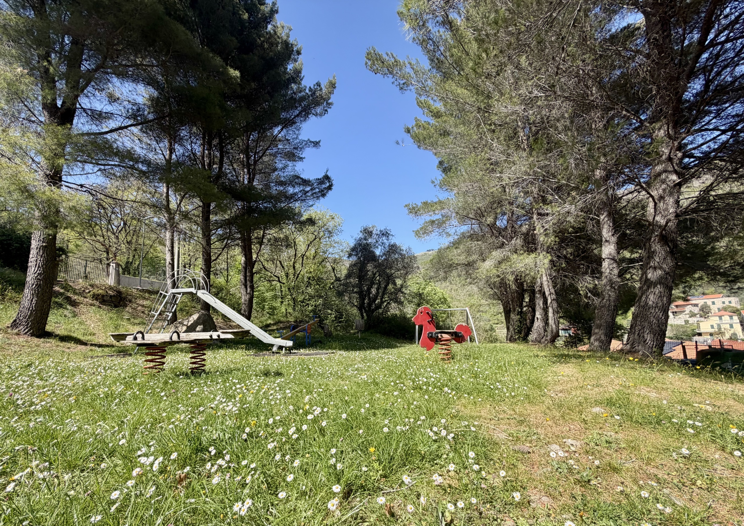 Foto annuncio 28
