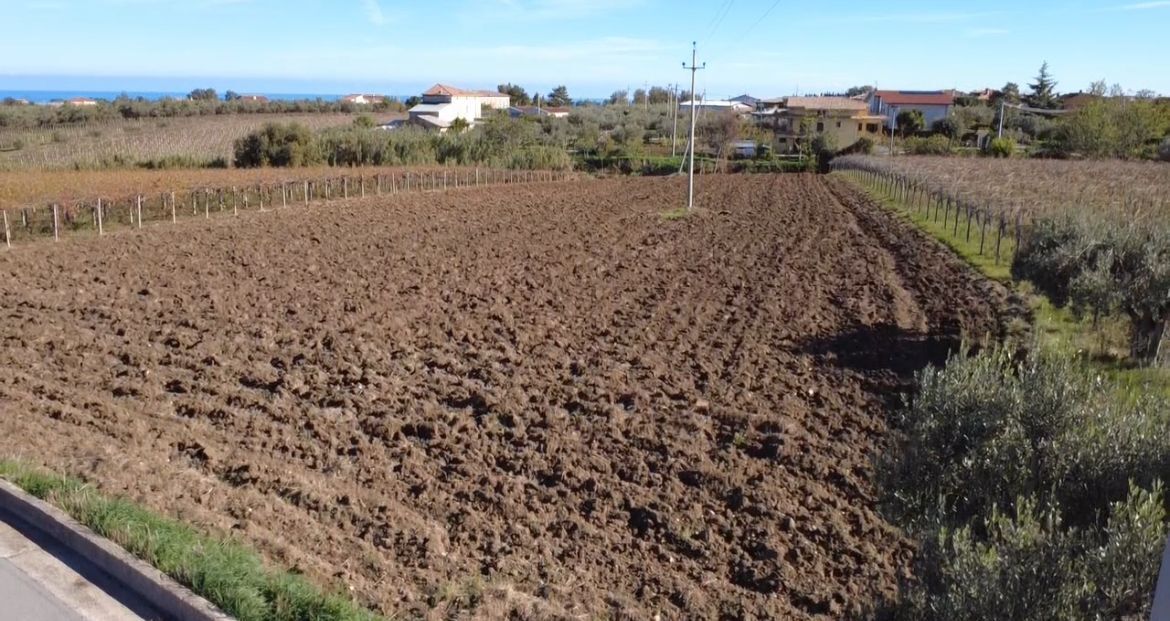 Foto annuncio 3