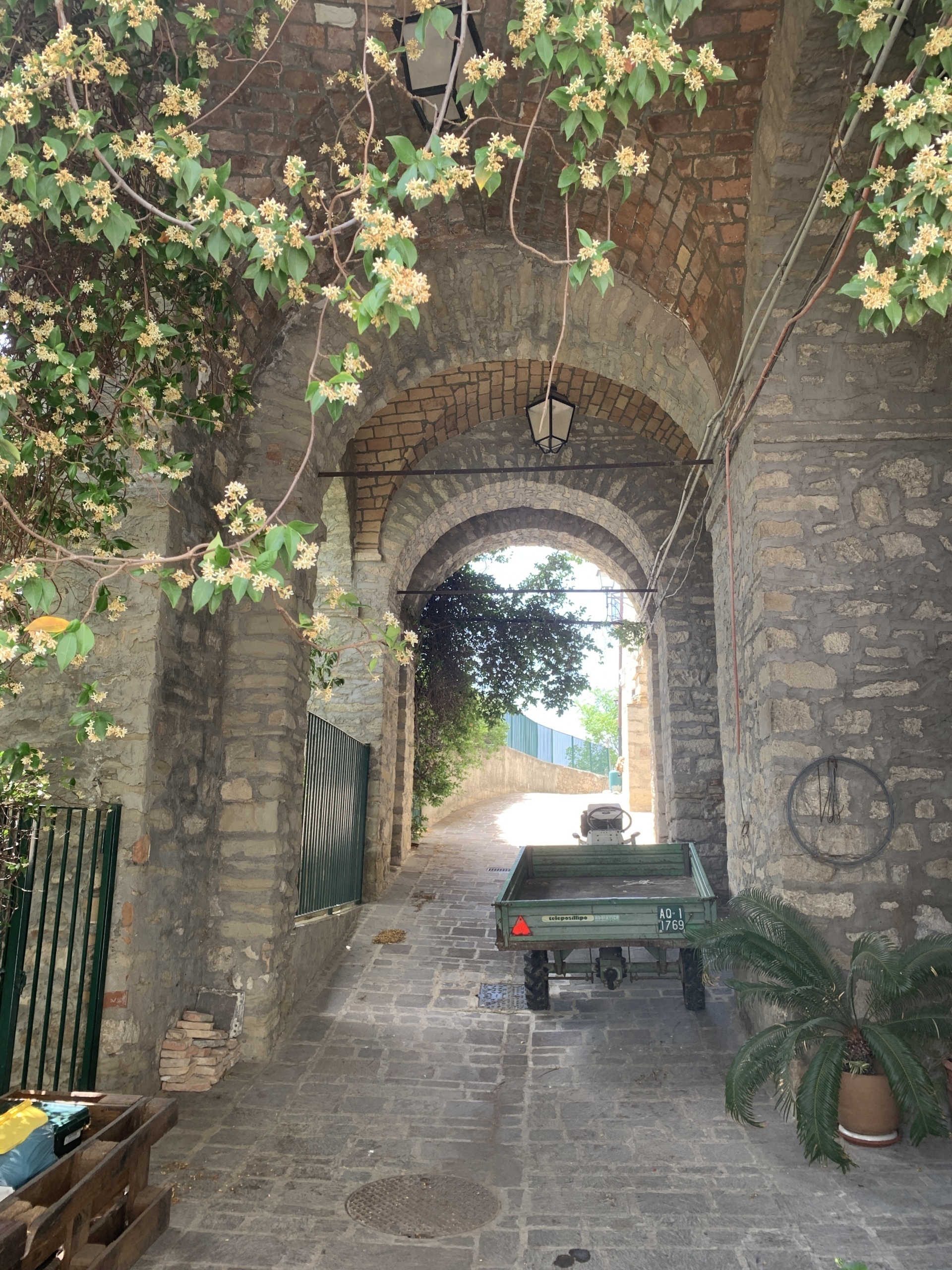 Immagine 31 di Casa indipendente in vendita  a Altino