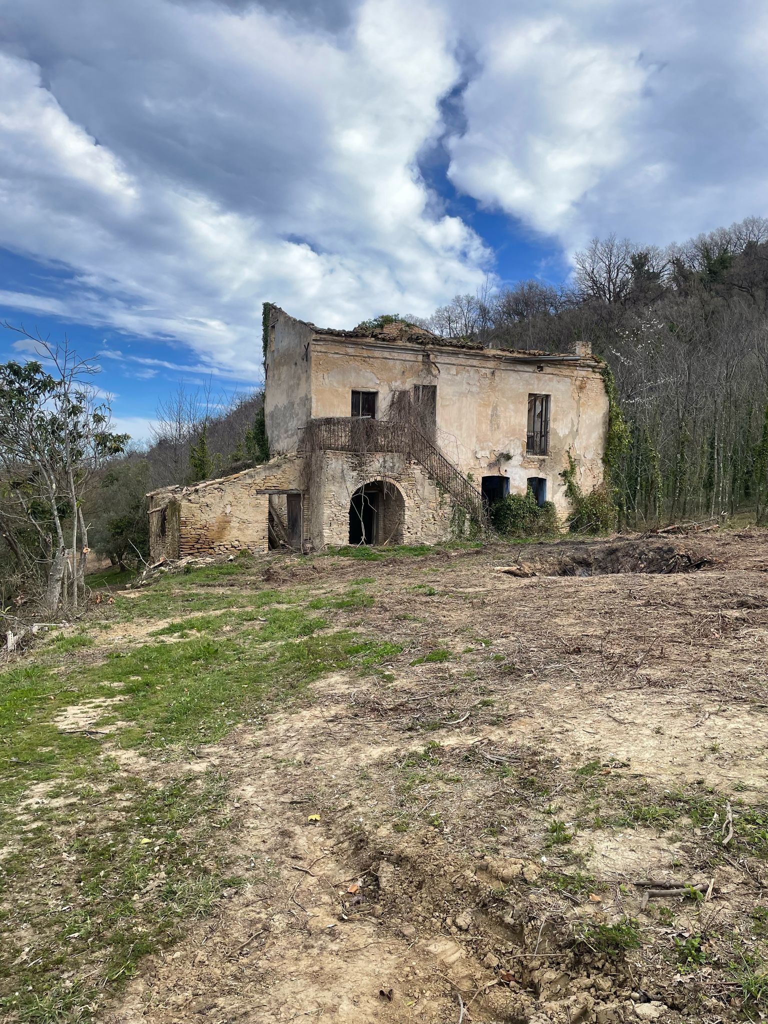Foto annuncio 44