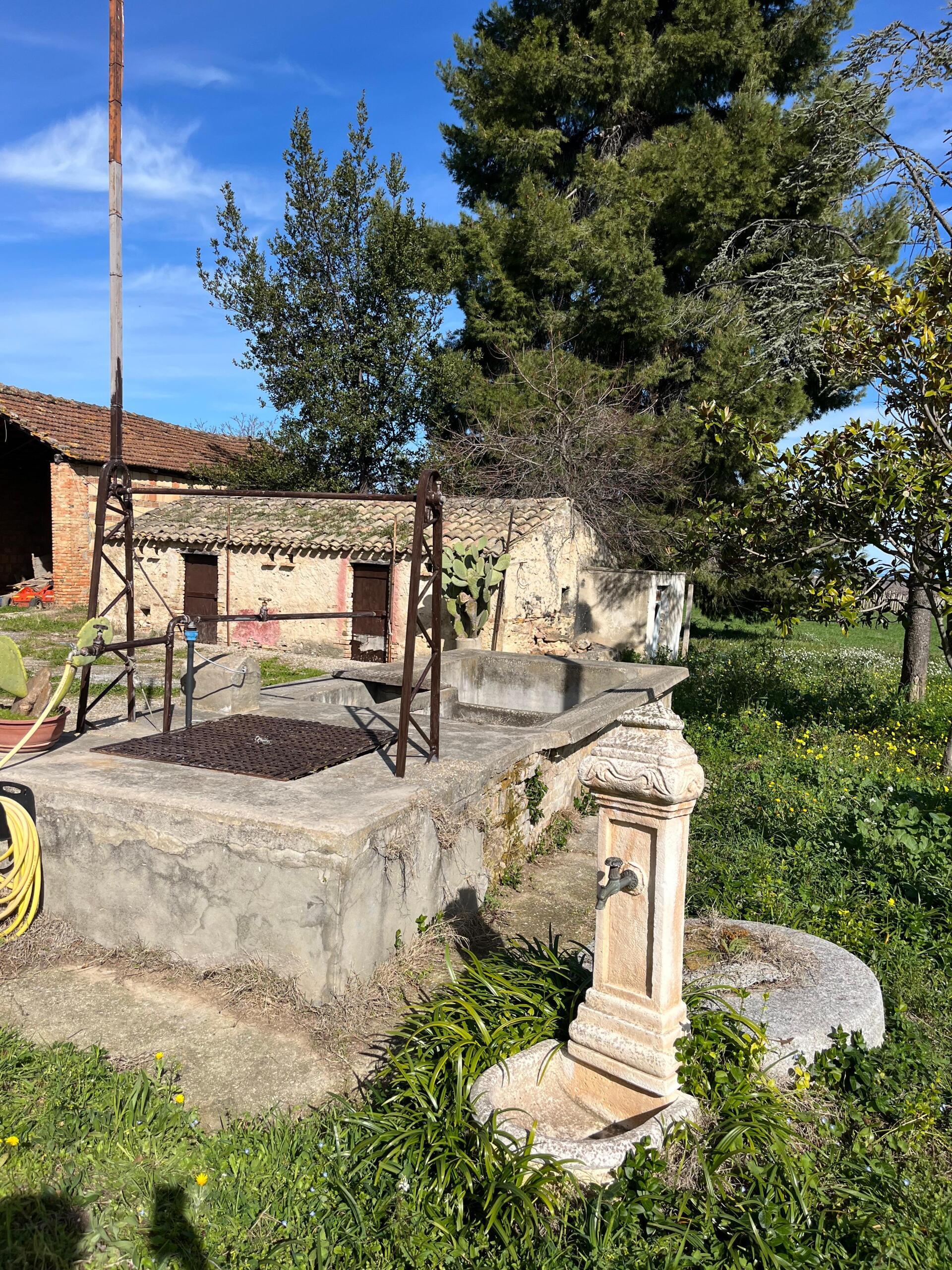 Foto annuncio 68
