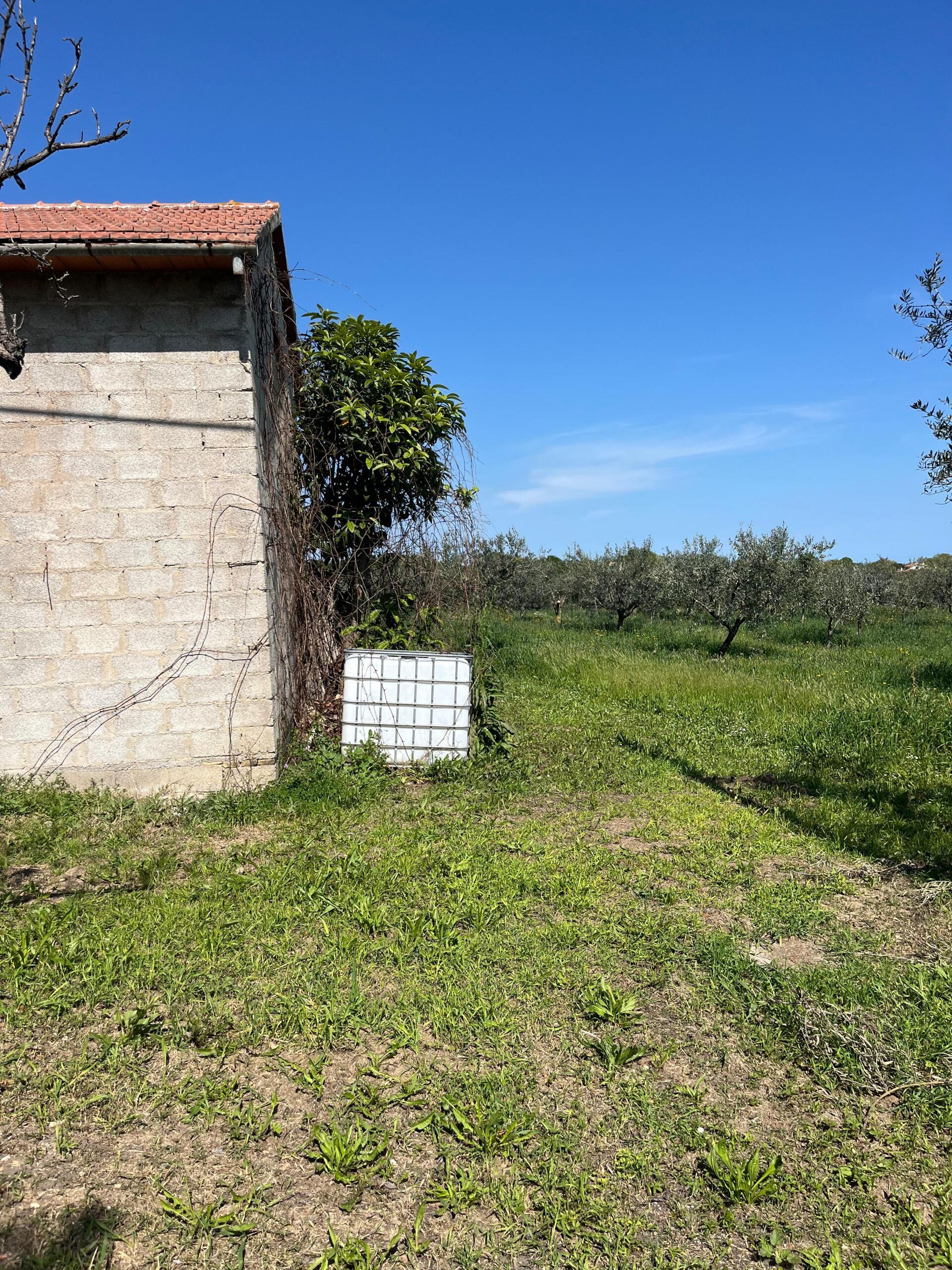 Foto annuncio 29
