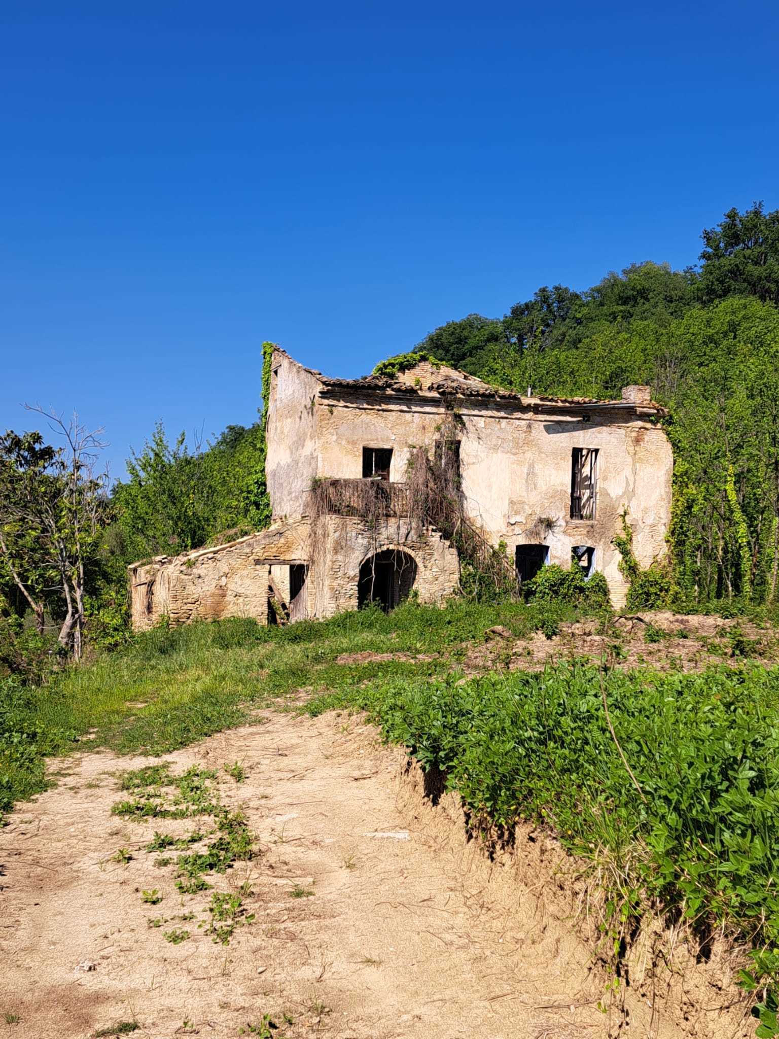 Foto annuncio 3