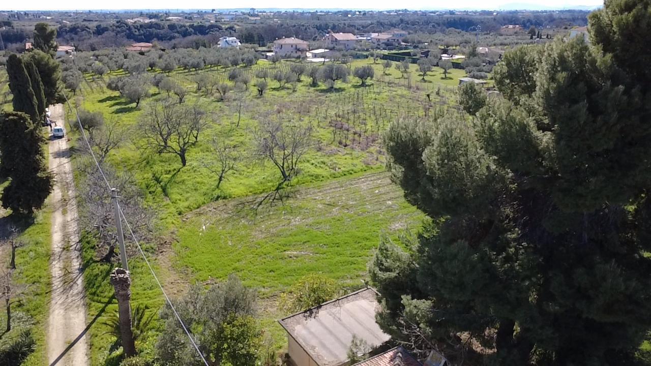 Foto annuncio 65