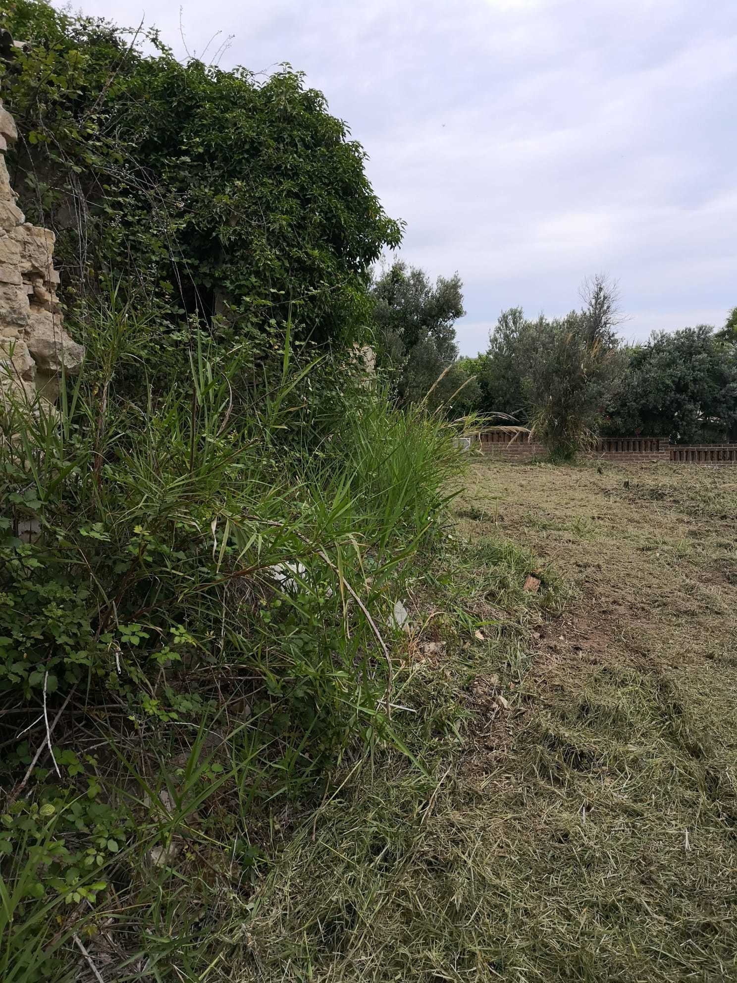 Foto annuncio 4