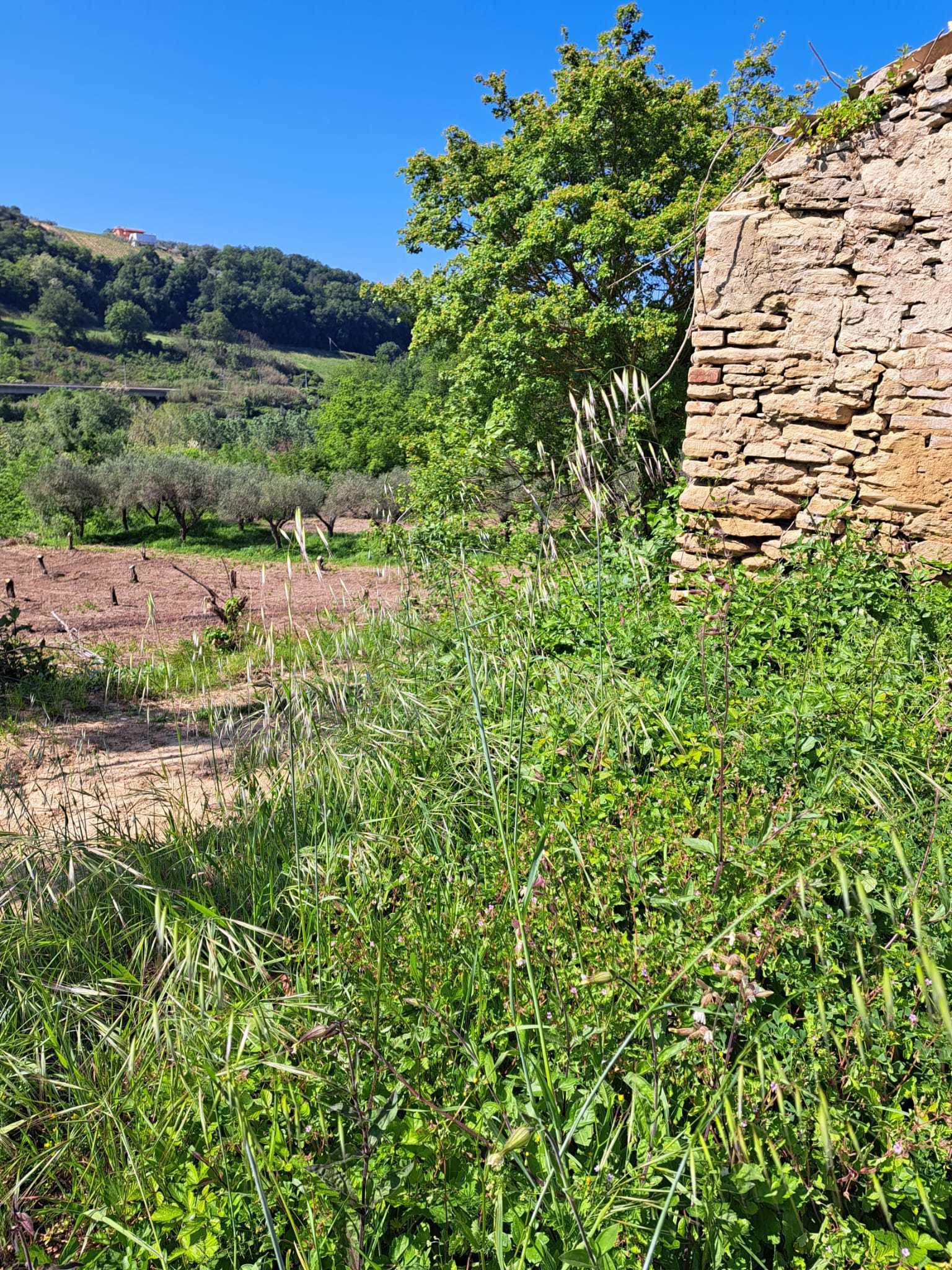 Foto annuncio 38